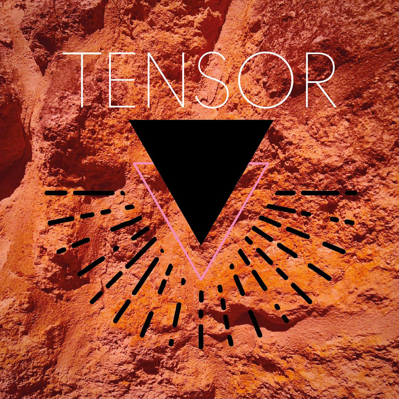 Постер альбома Tensor