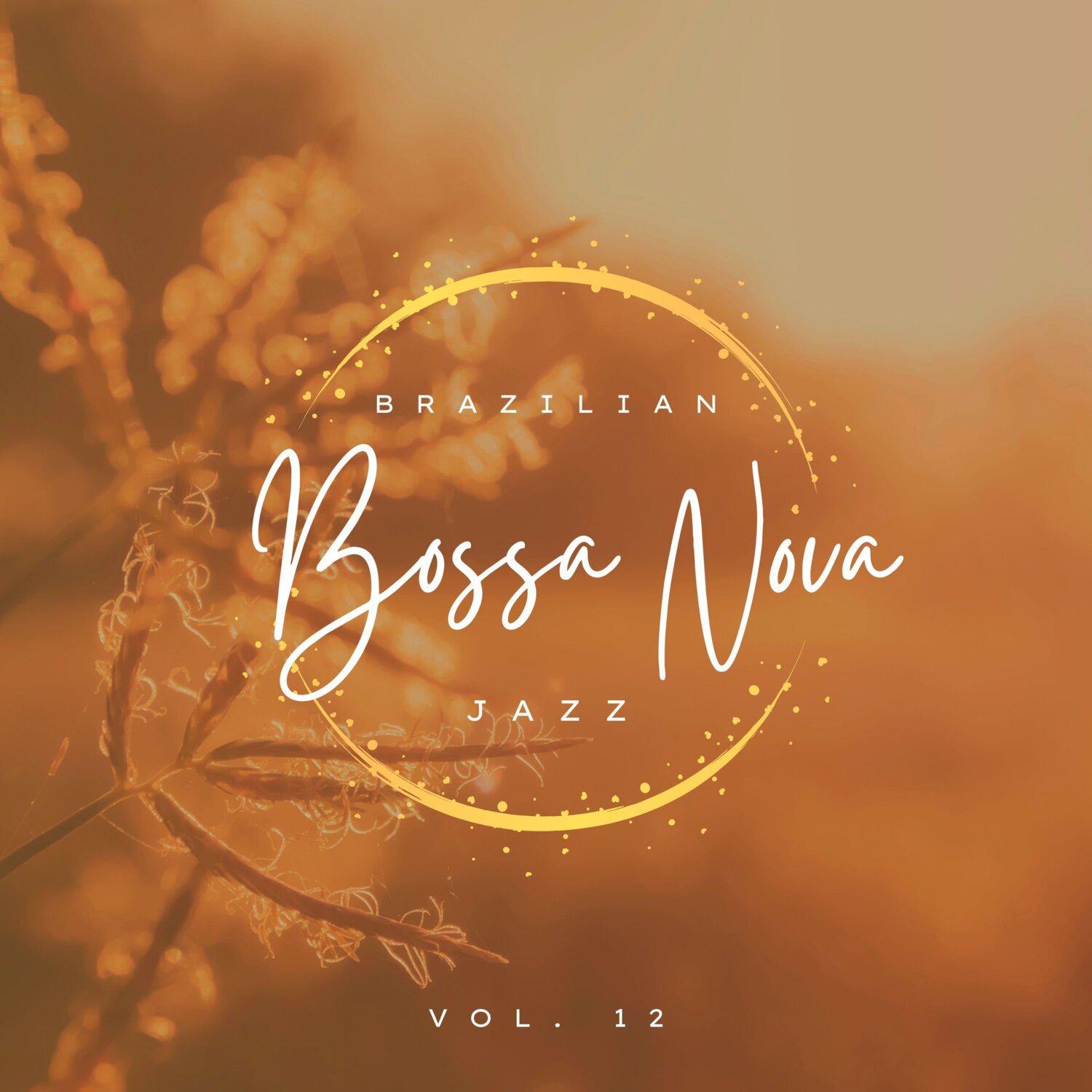 Постер альбома Brazilian Bossa Nova Jazz, Vol. 12