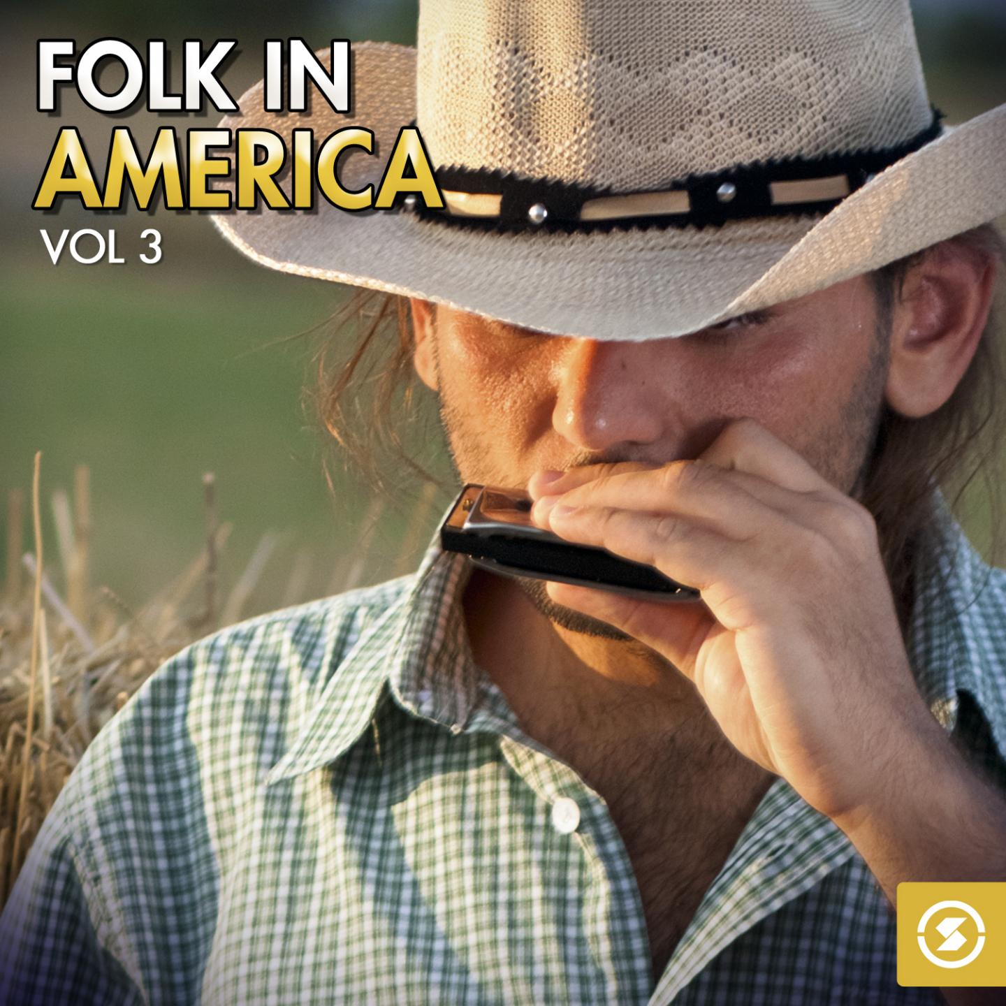Постер альбома Folk in America, Vol. 3