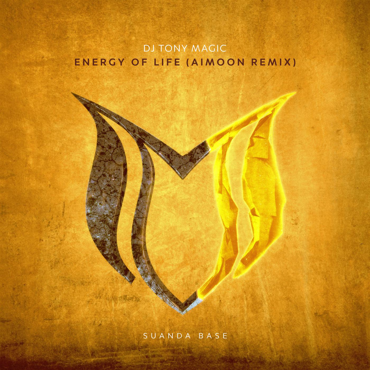 Постер альбома Energy Of Life (Aimoon Remix)