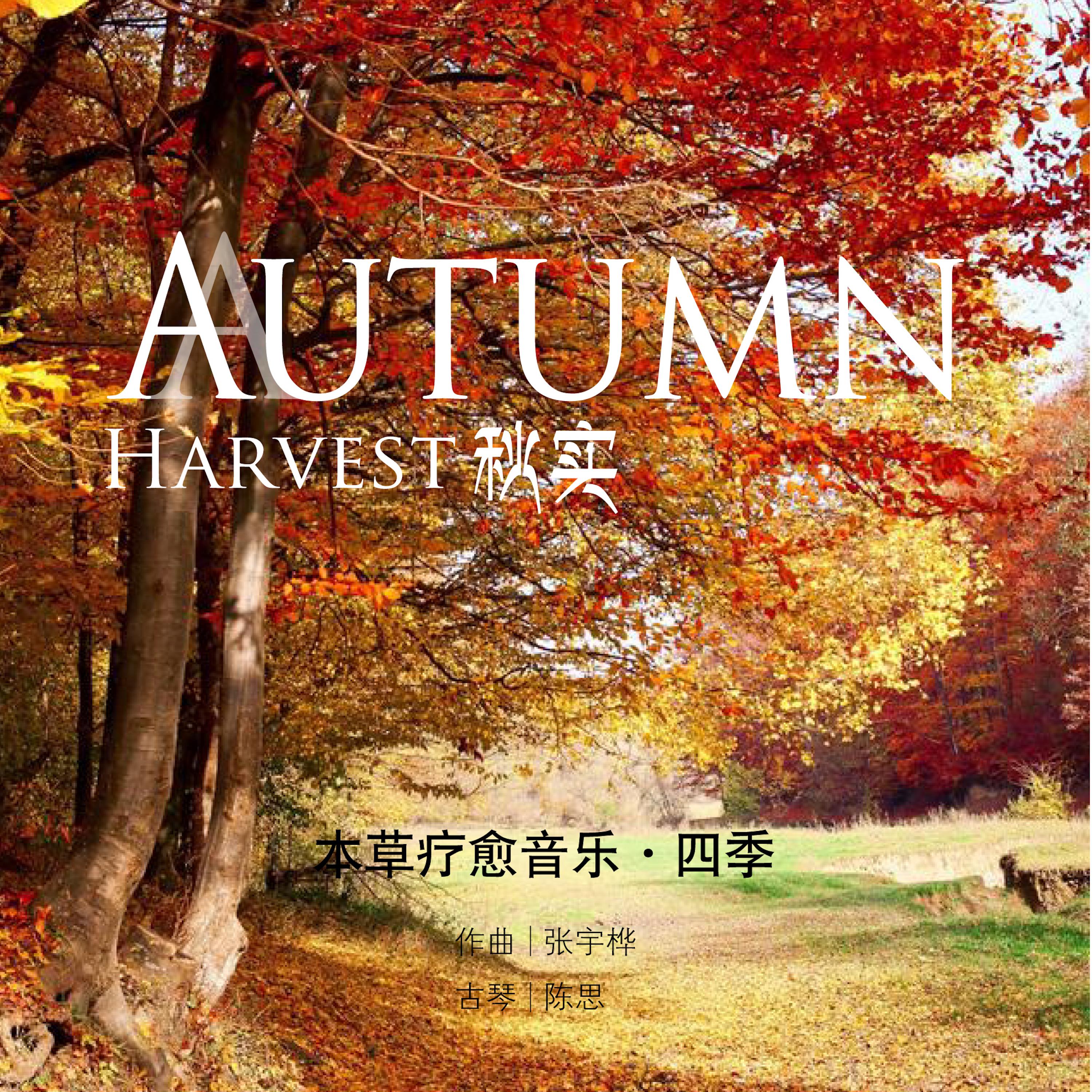 Постер альбома 秋实