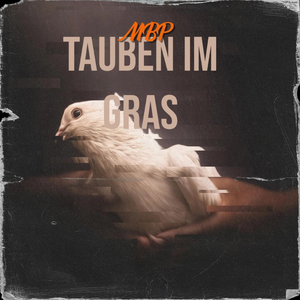 Постер альбома Tauben im Gras