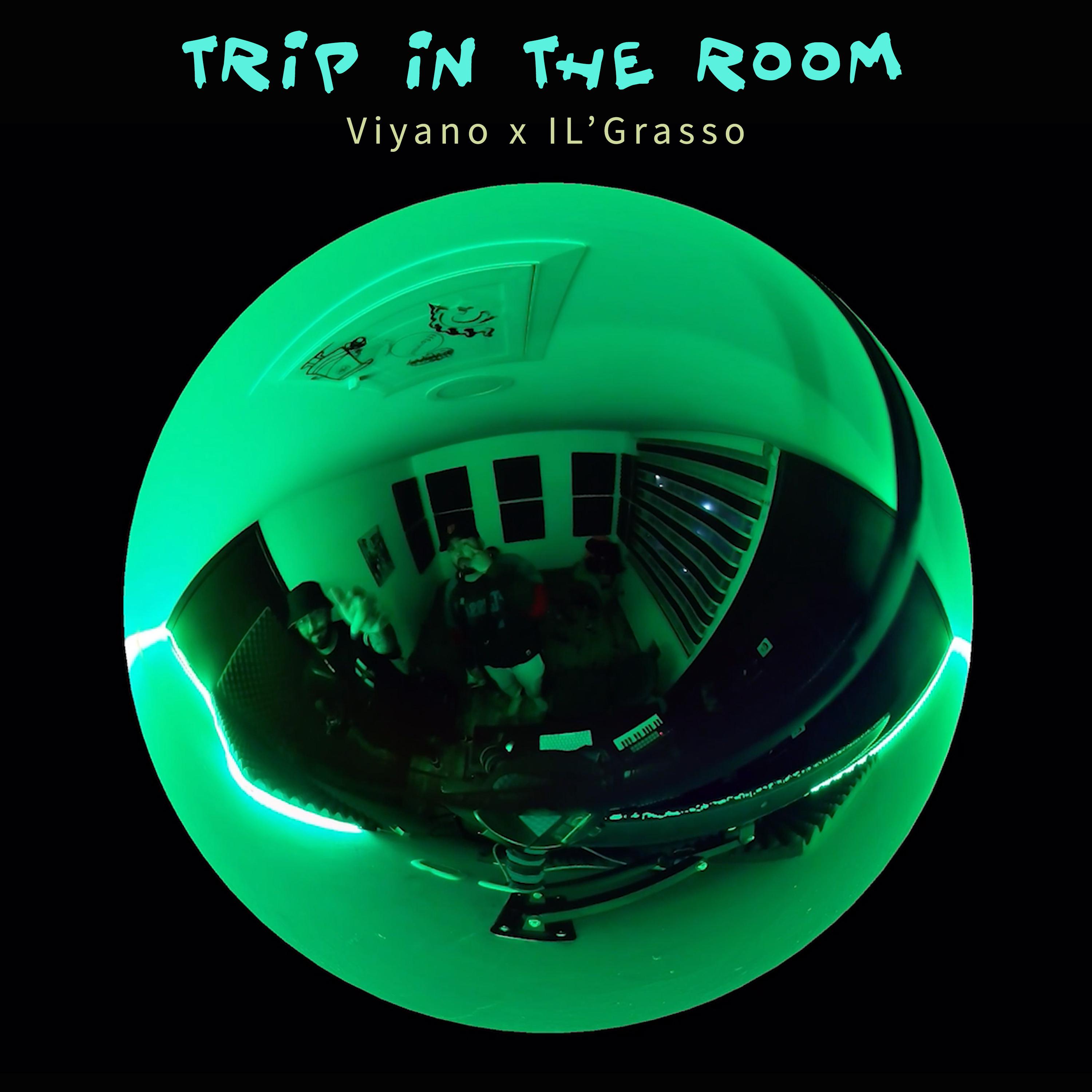 Постер альбома Trip In The Room