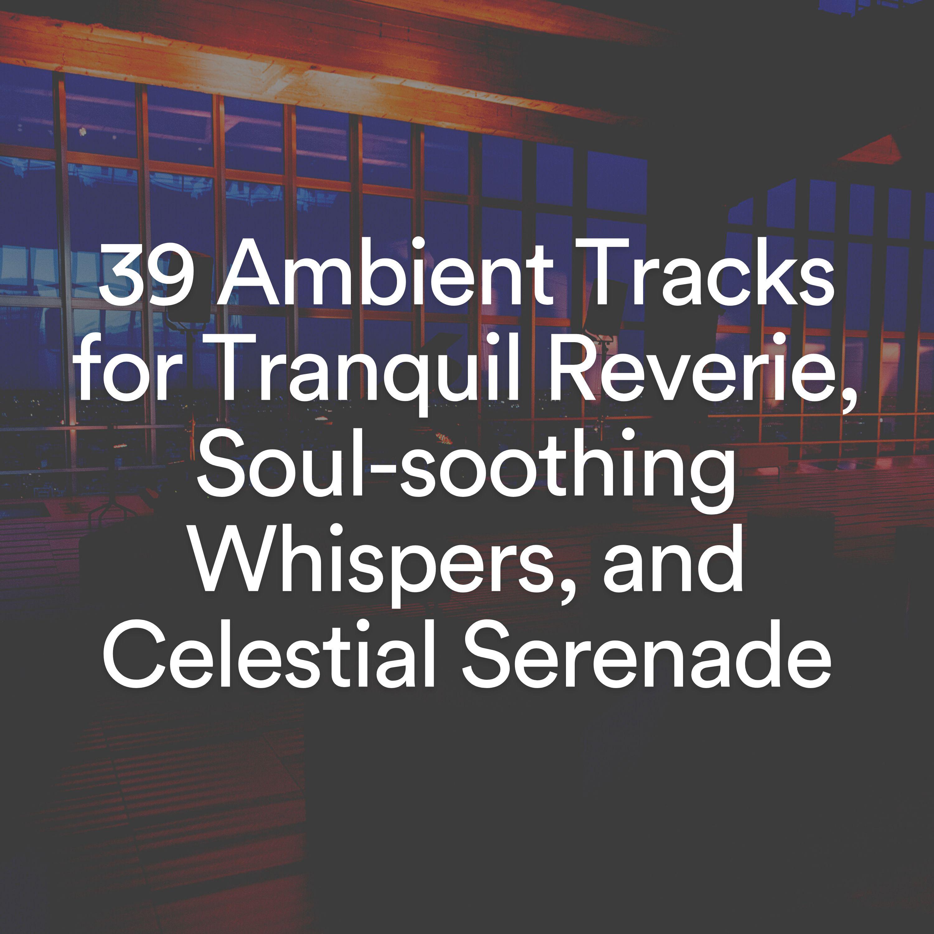 Постер альбома 39 Ambient Tracks for Tranquil Reverie, Soul-soothing Whispers, and Celestial Serenade