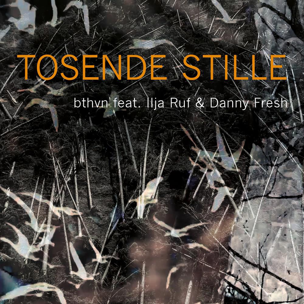 Постер альбома Tosende Stille