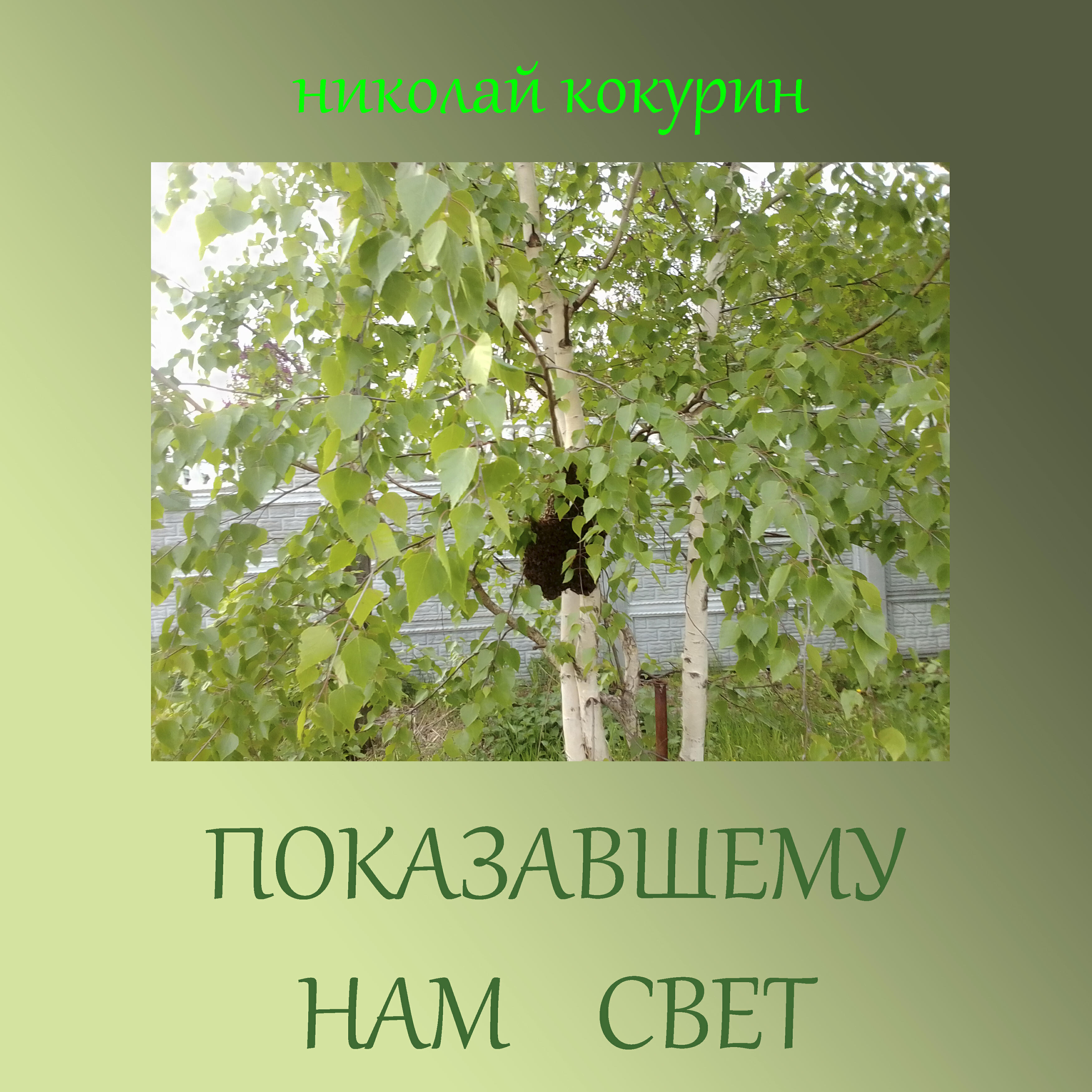 Постер альбома Показавшему нам свет