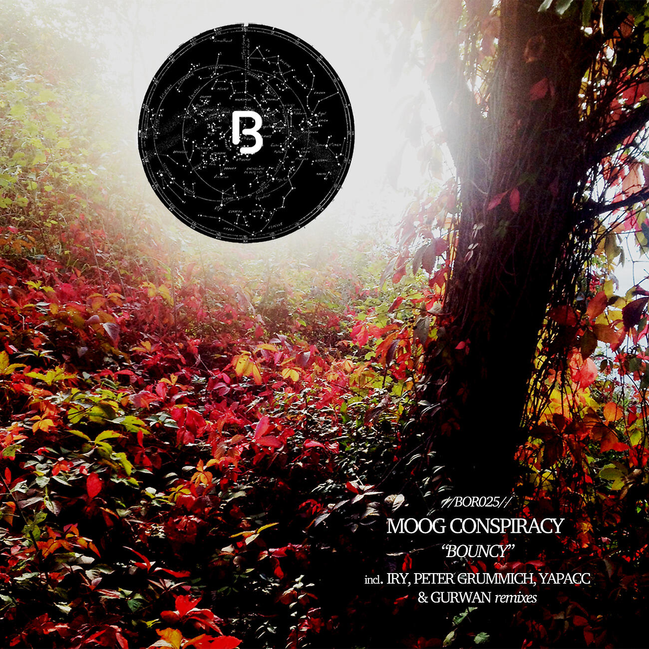 Moog Conspiracy - Bouncy (Yapacc Remix)