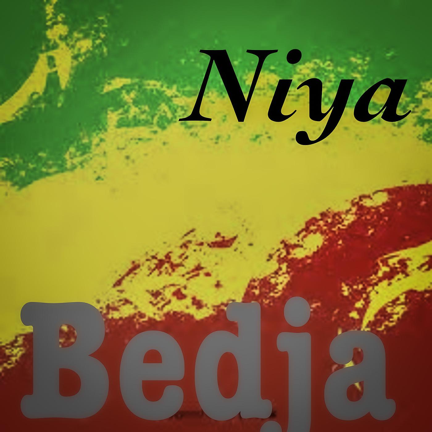 Постер альбома Niya