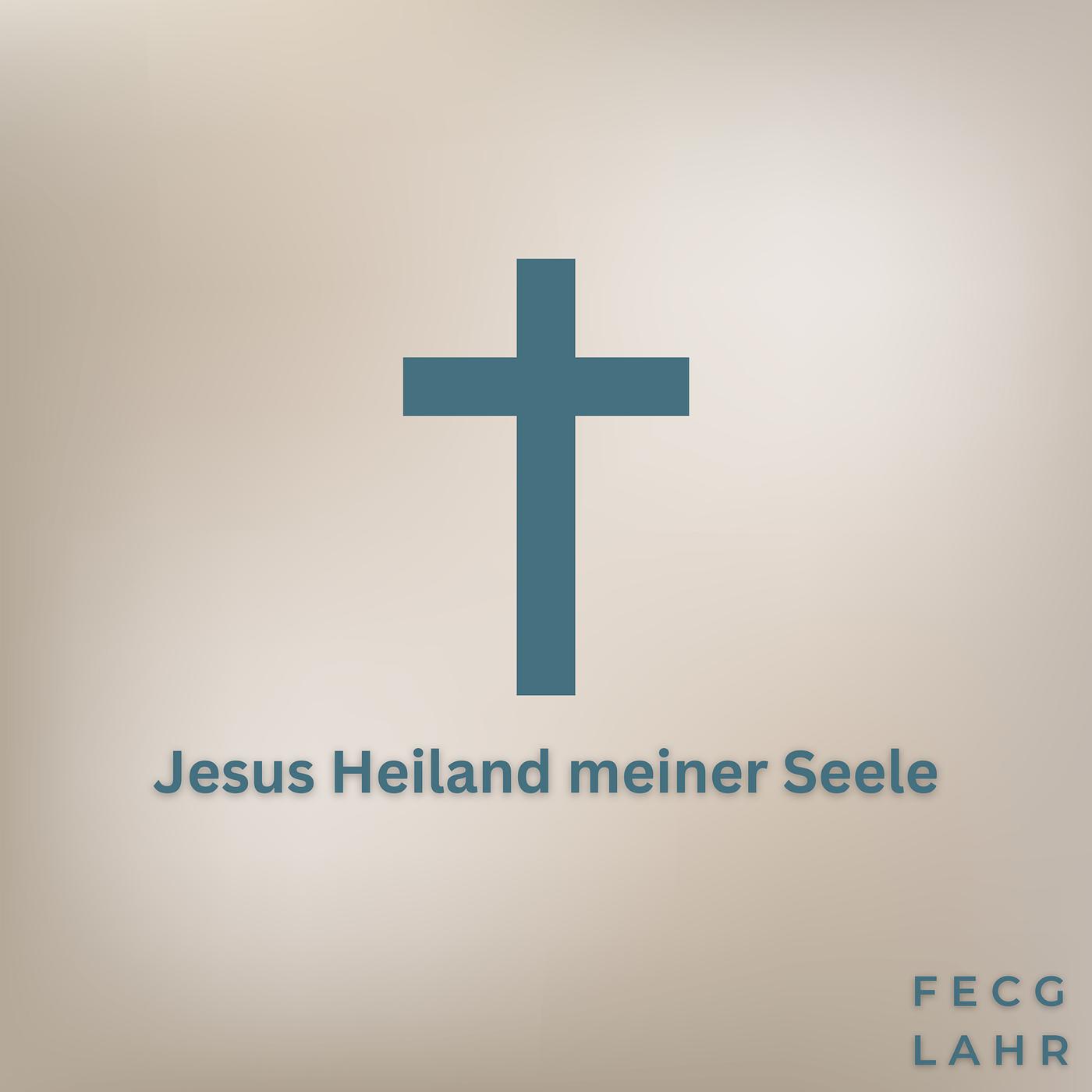 Постер альбома Jesus Heiland Meiner Seele