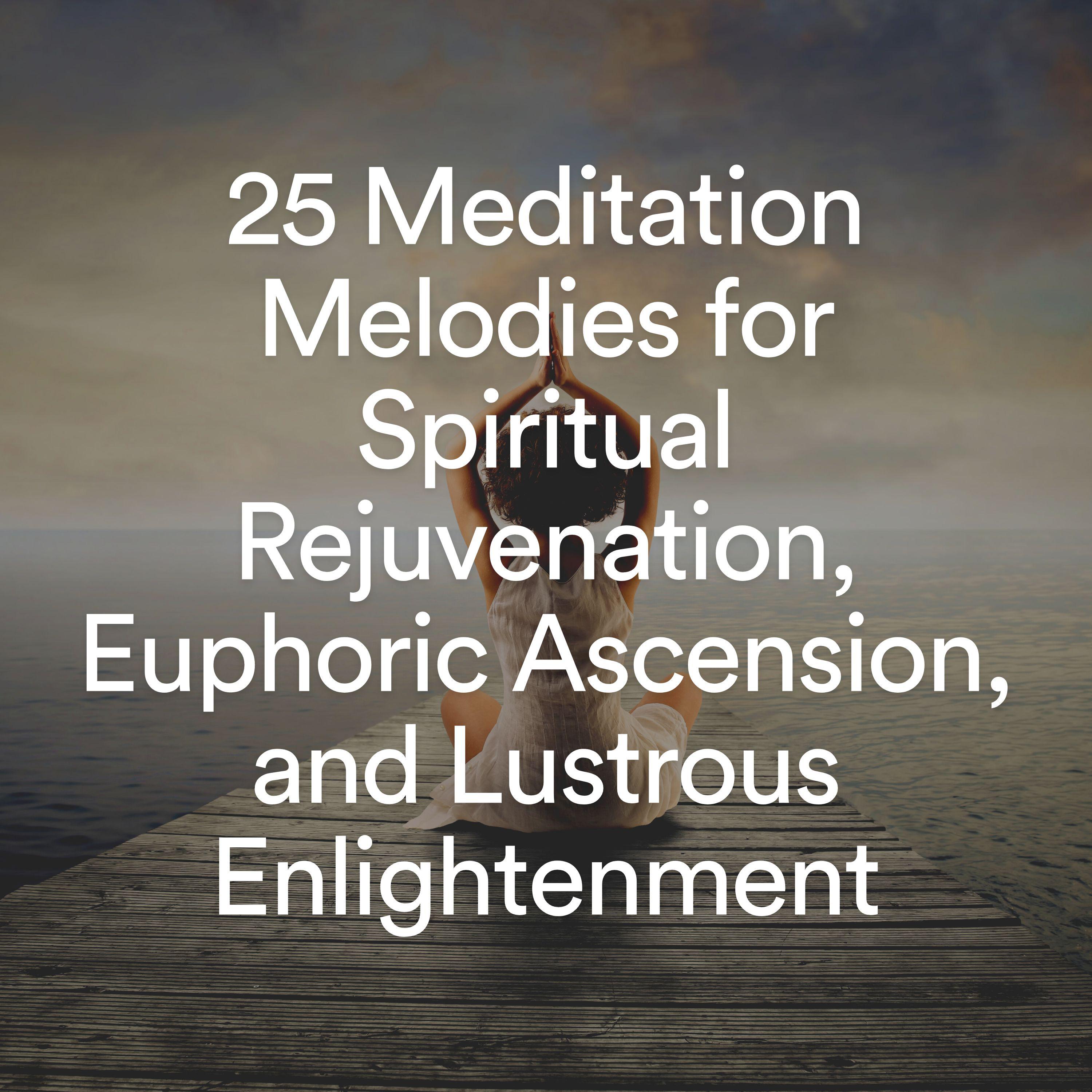 Постер альбома 25 Meditation Melodies for Spiritual Rejuvenation, Euphoric Ascension, and Lustrous Enlightenment