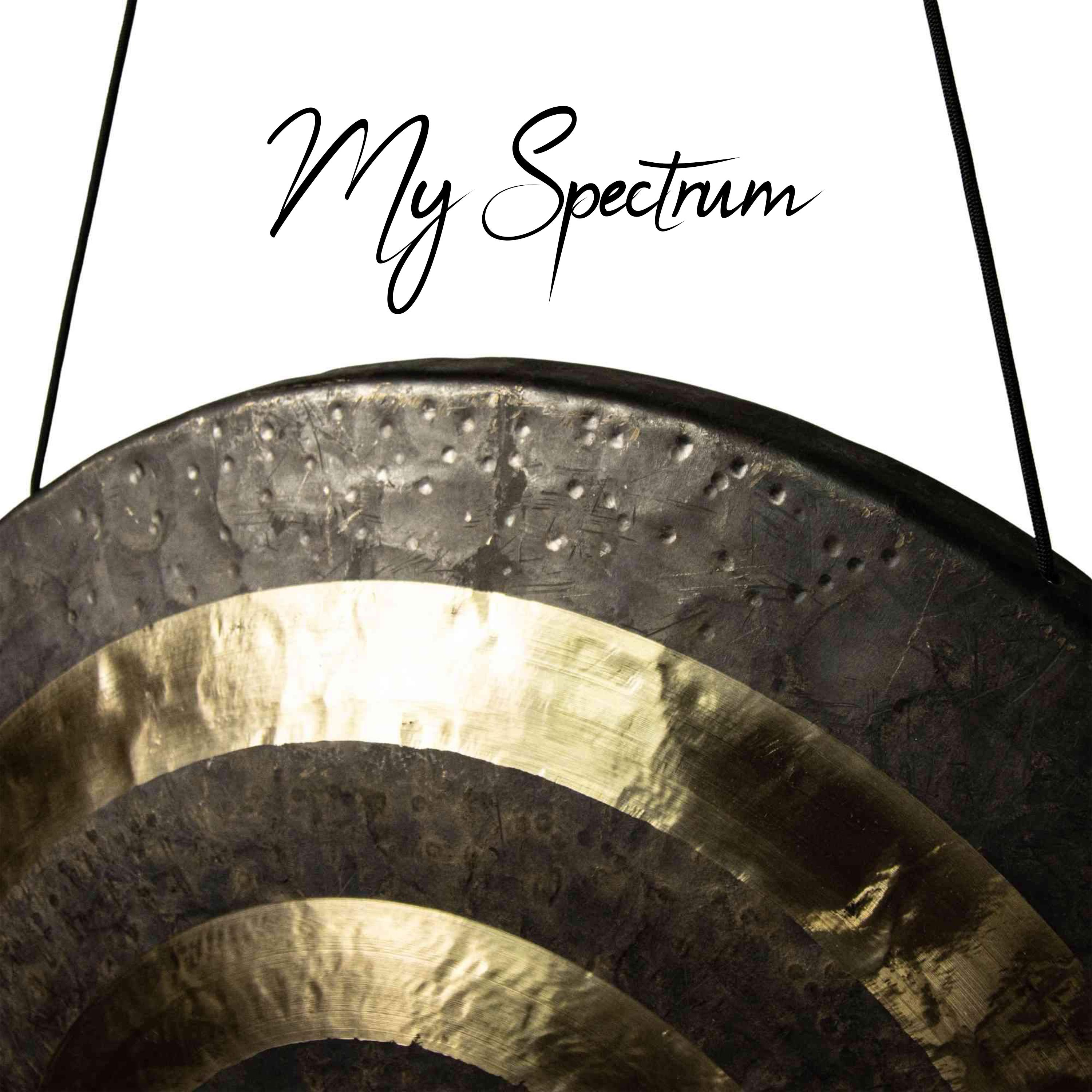 Постер альбома My Spectrum