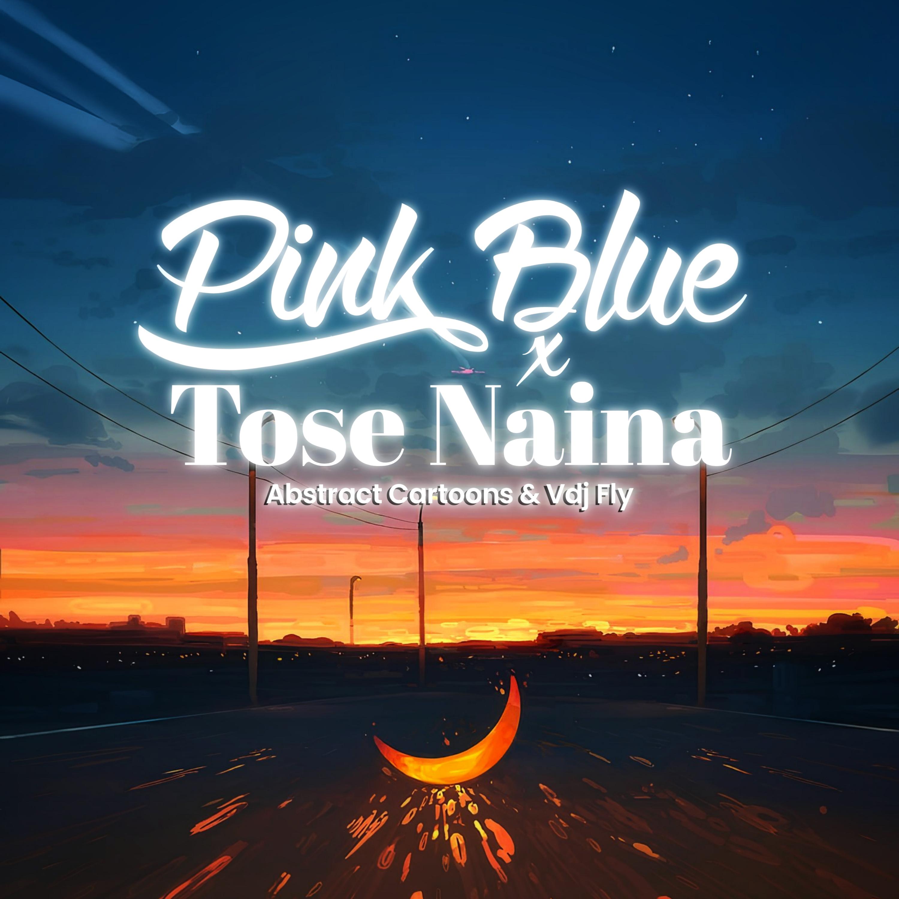 Постер альбома Pink Blue x Toise Naina