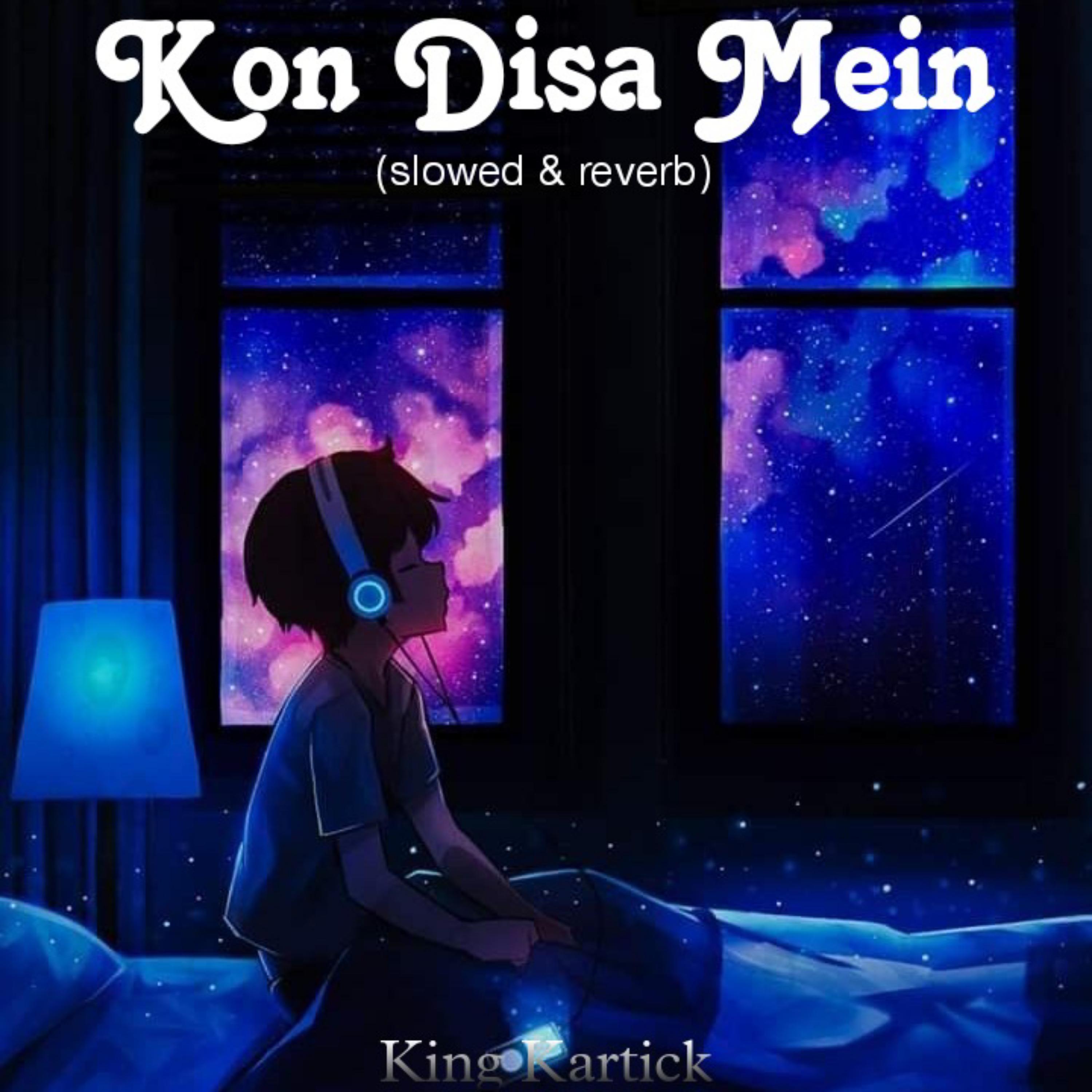 Постер альбома Kon Disa Mein