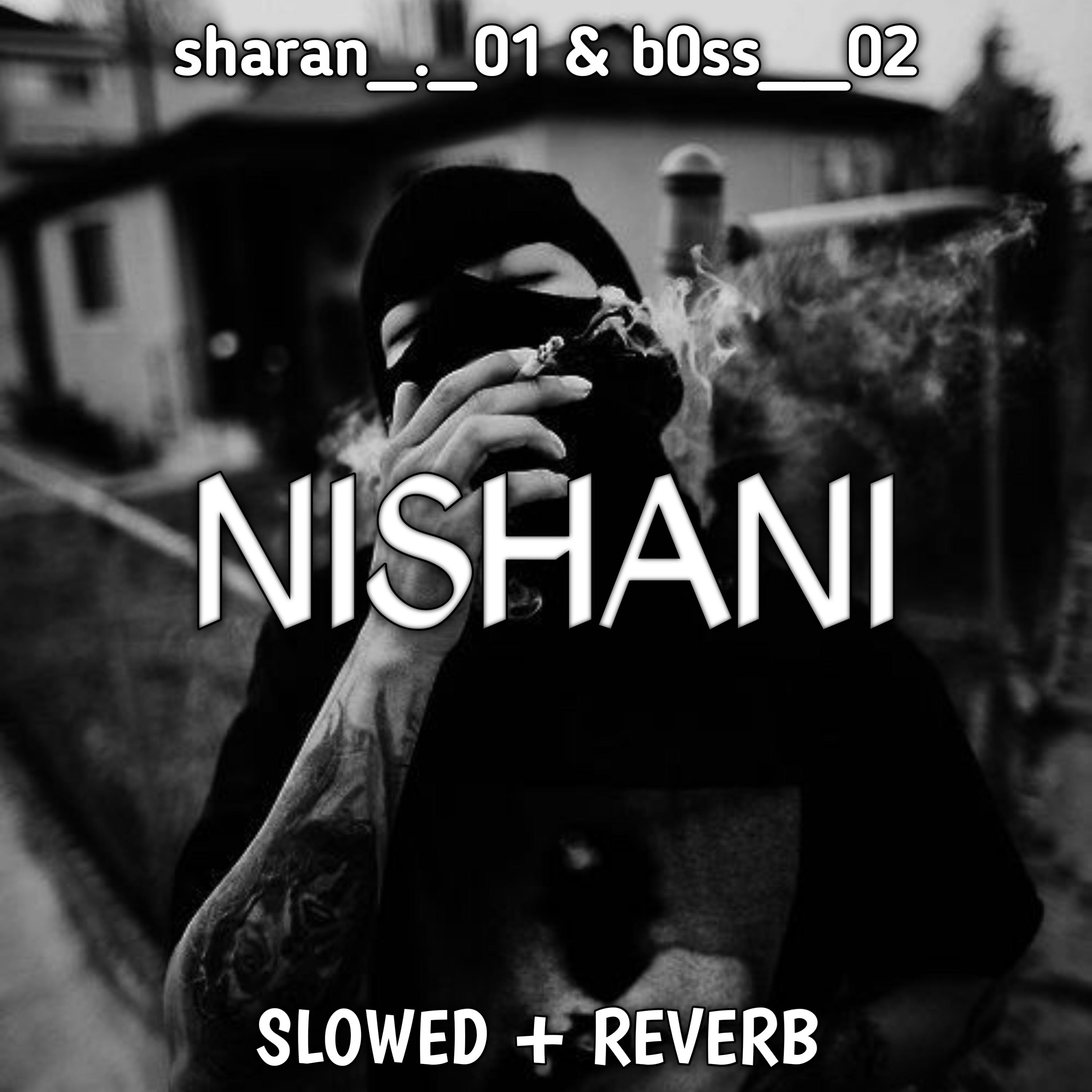 Постер альбома Nishani