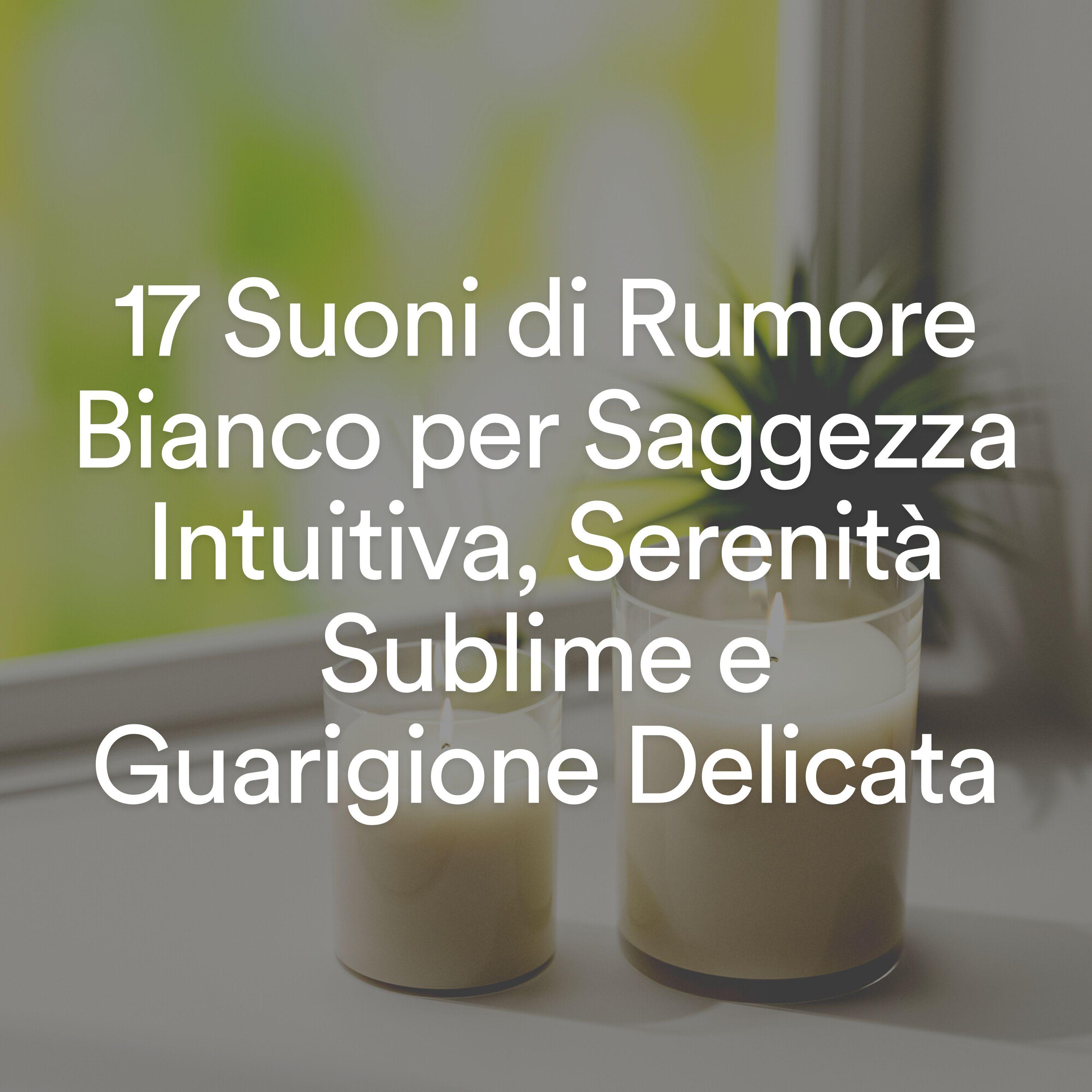 Постер альбома 17 Suoni di Rumore Bianco per Saggezza Intuitiva, Serenità Sublime e Guarigione Delicata