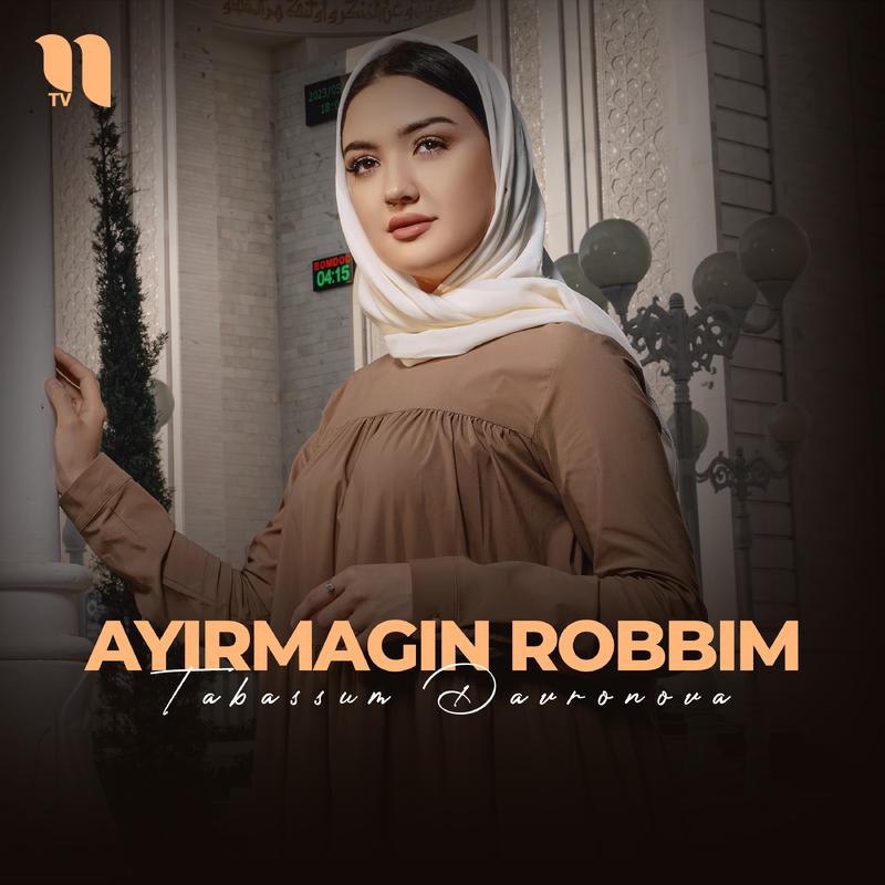 Постер альбома Ayirmagin Robbim