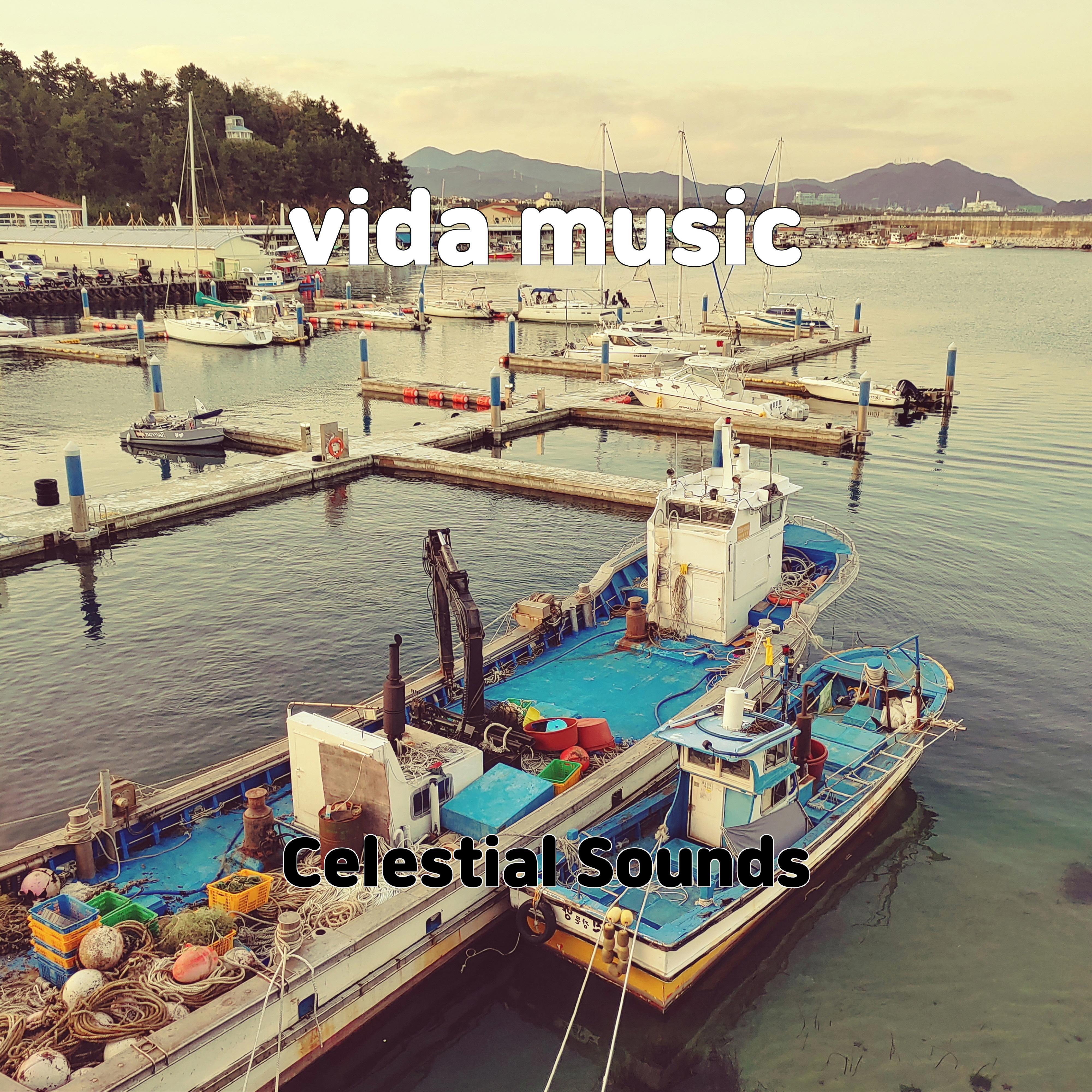 Постер альбома vida music