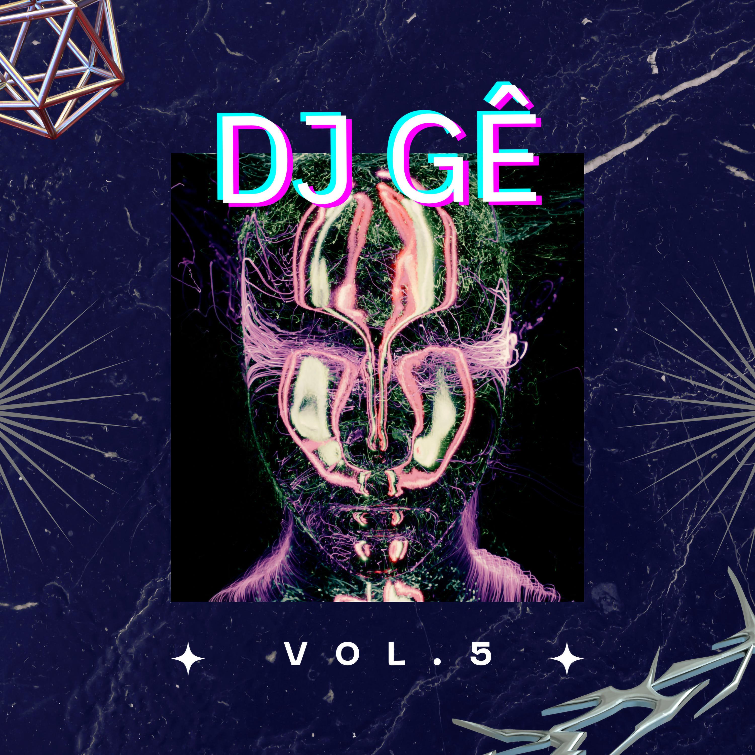 Постер альбома Dj Gê, Vol. 5