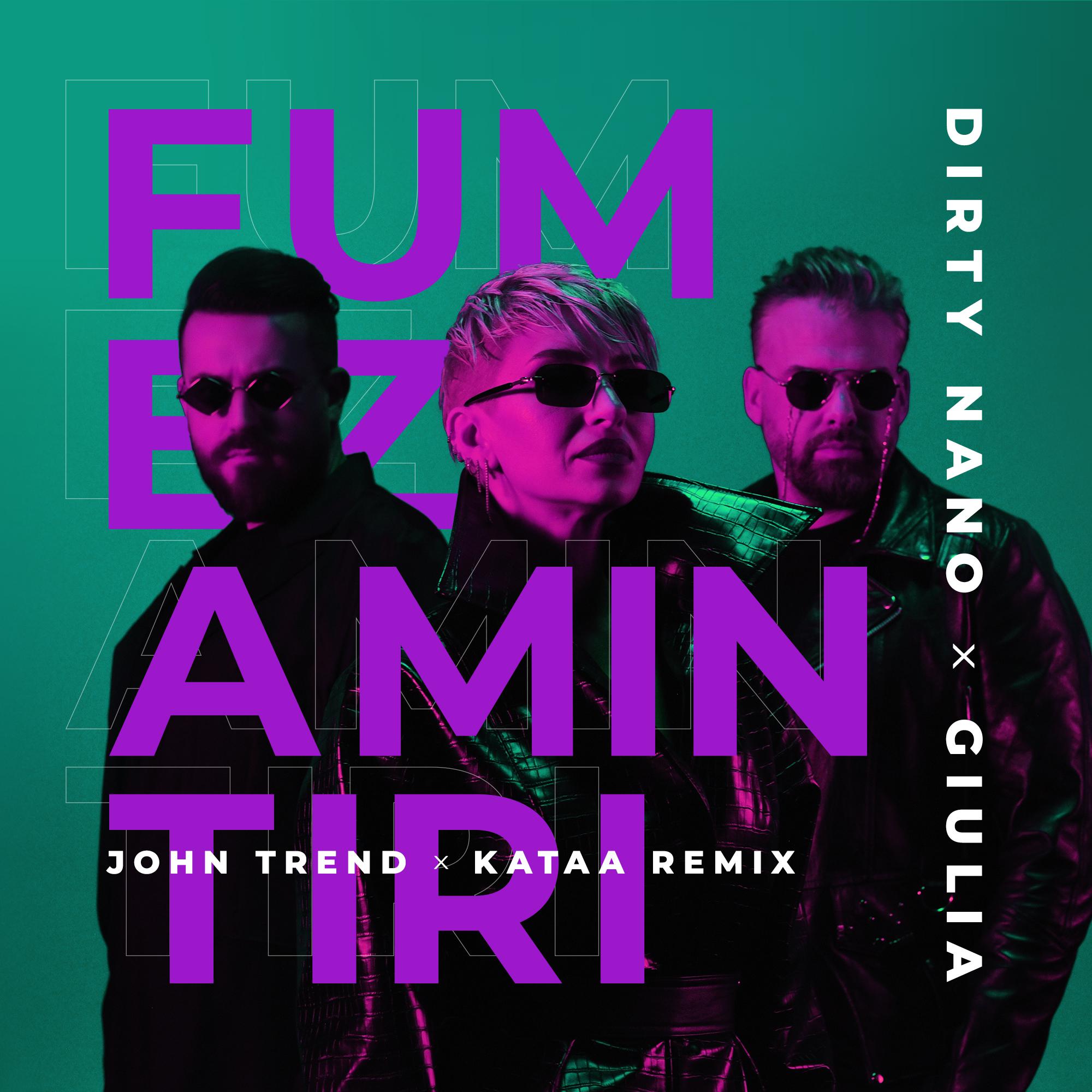 Постер альбома Fumez amintiri