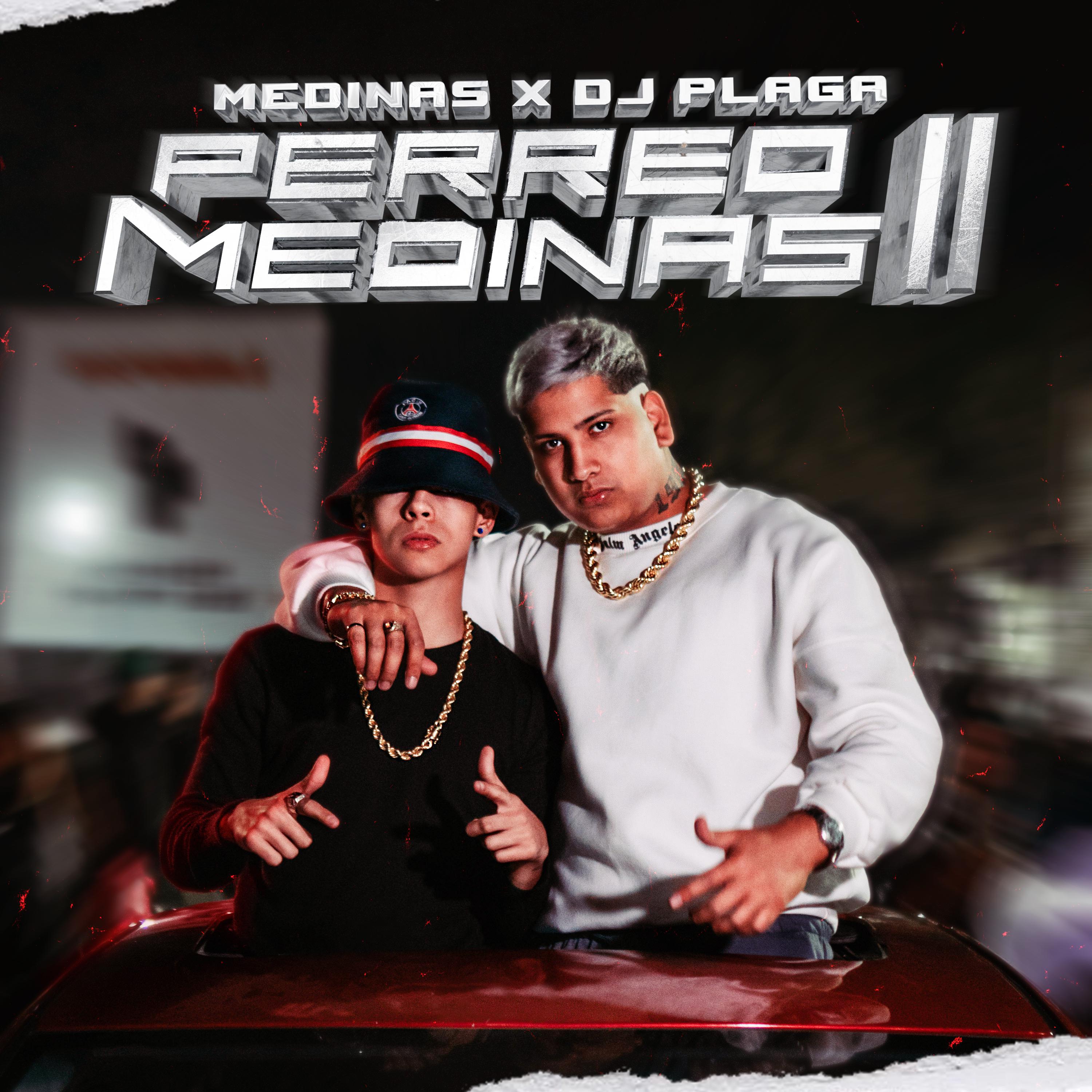 Постер альбома Perreo Medinas II