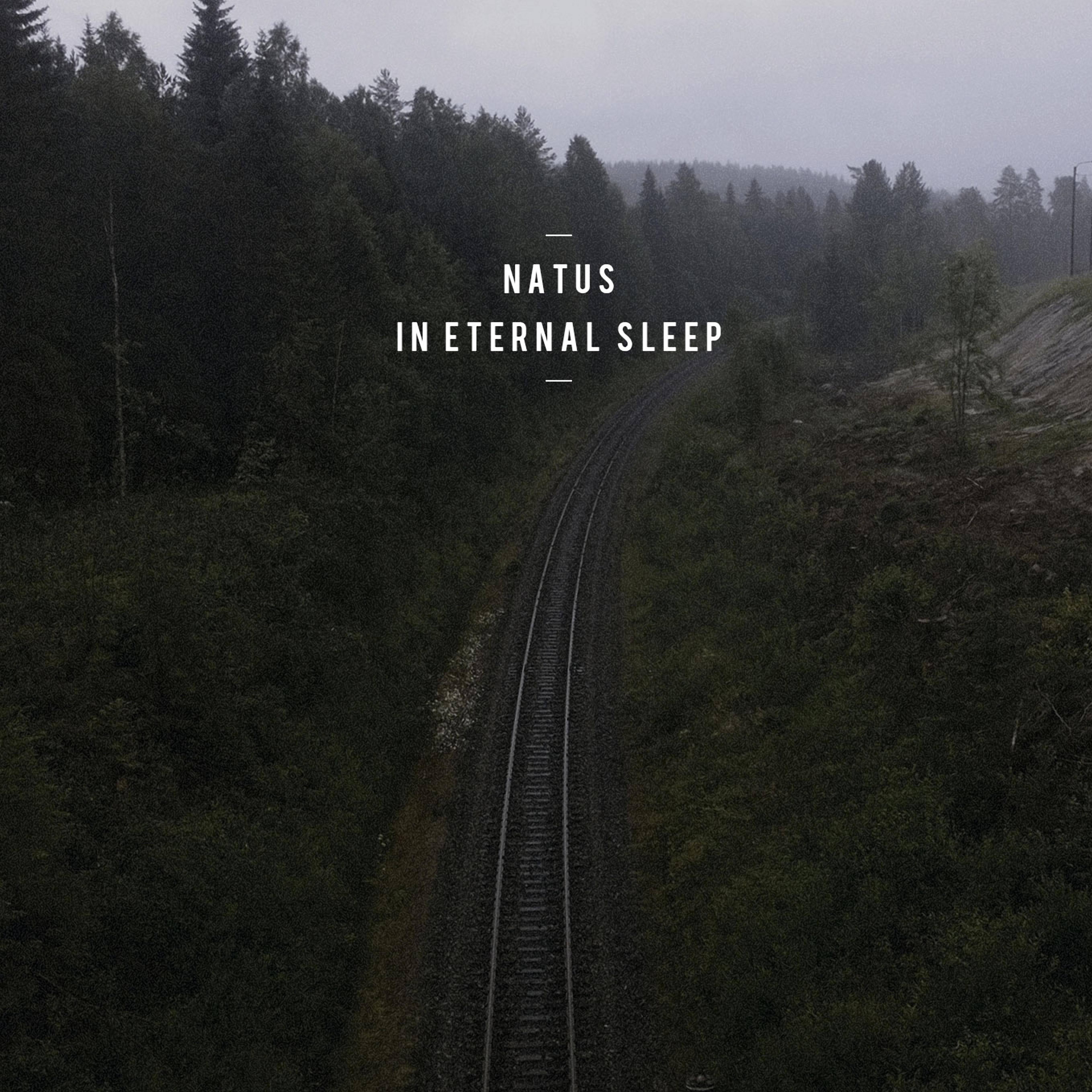 Постер альбома In Eternal Sleep