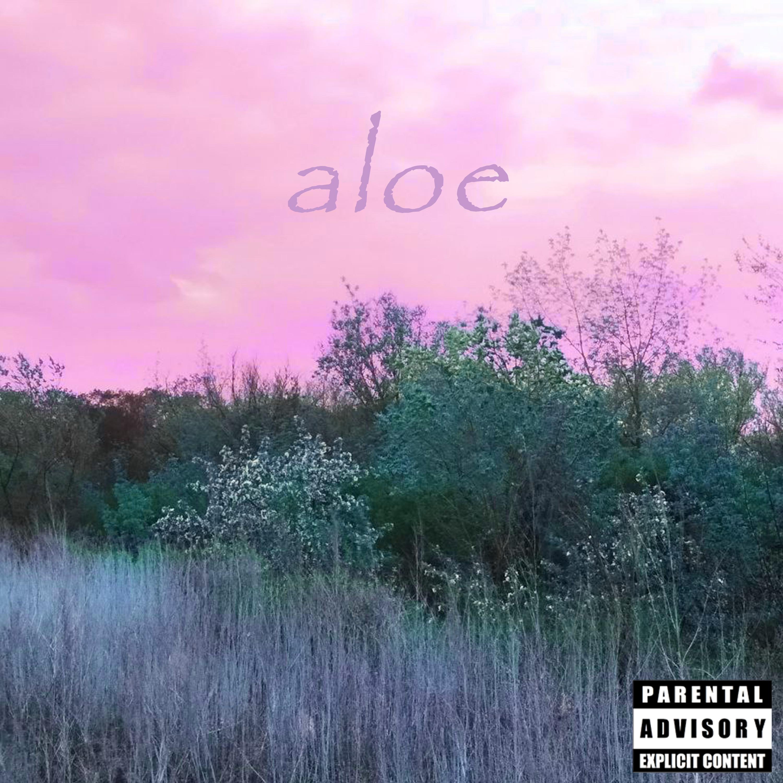 Постер альбома Aloe