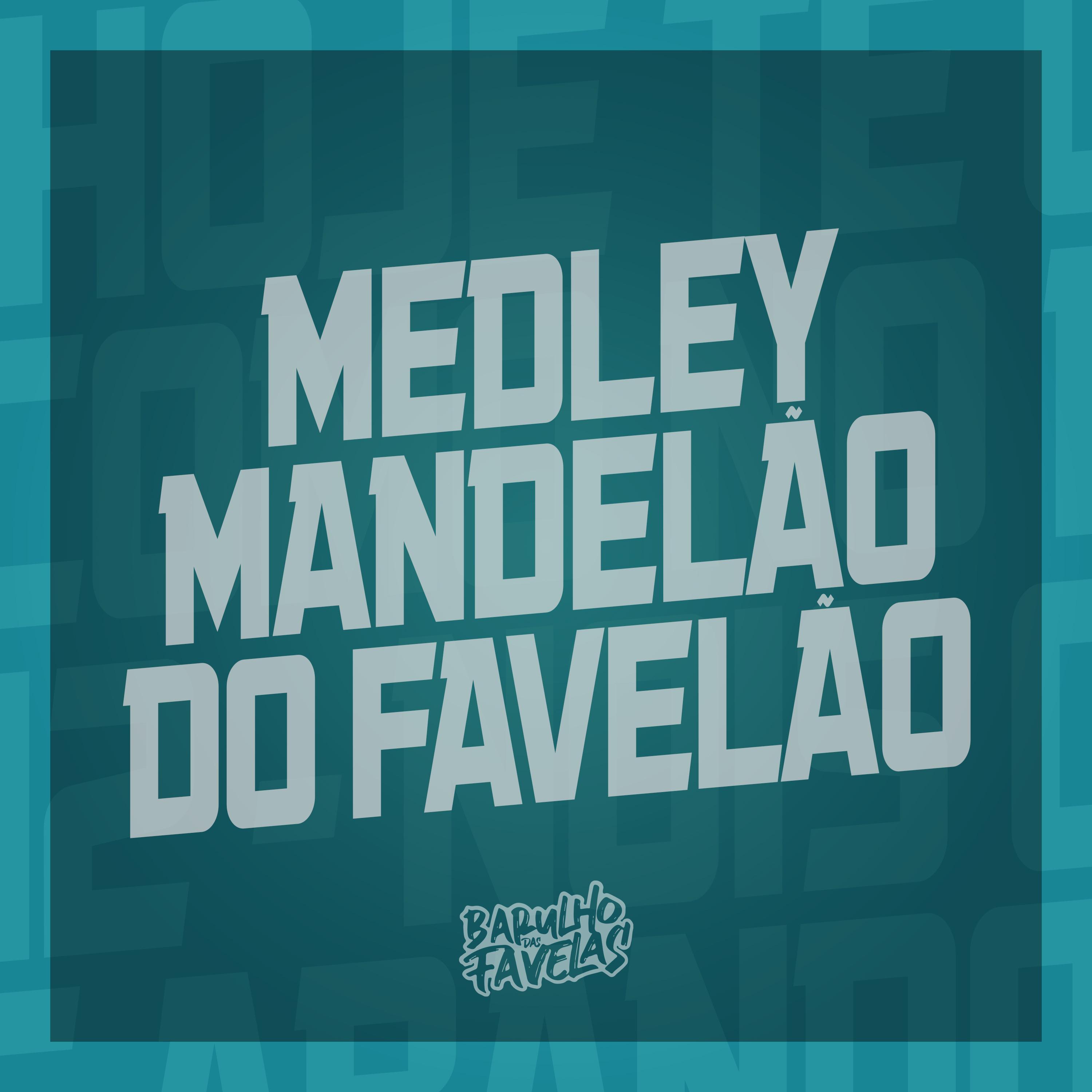 Постер альбома Medley Mandelão do Favelão