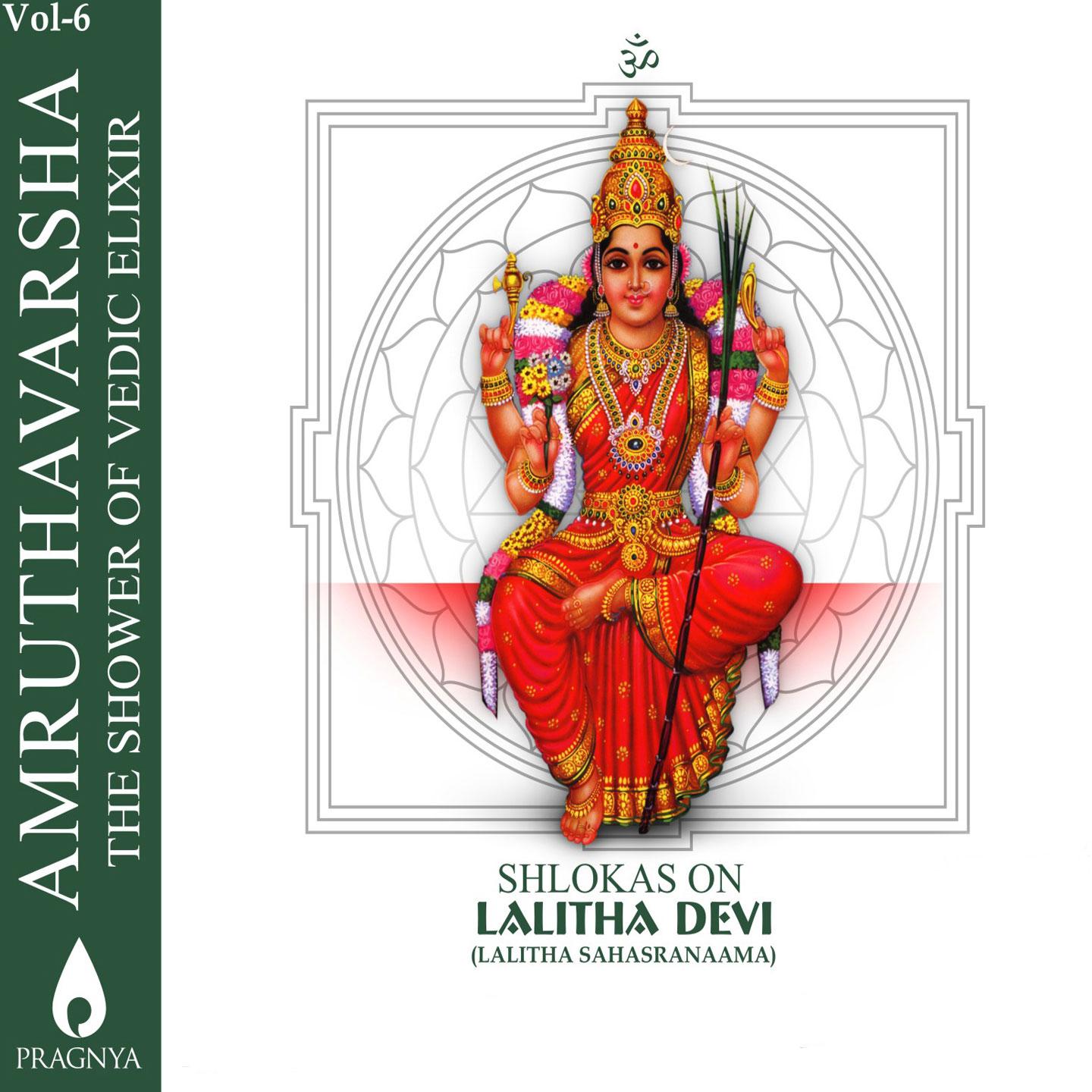 Постер альбома Amruthavarsha, Vol. 6