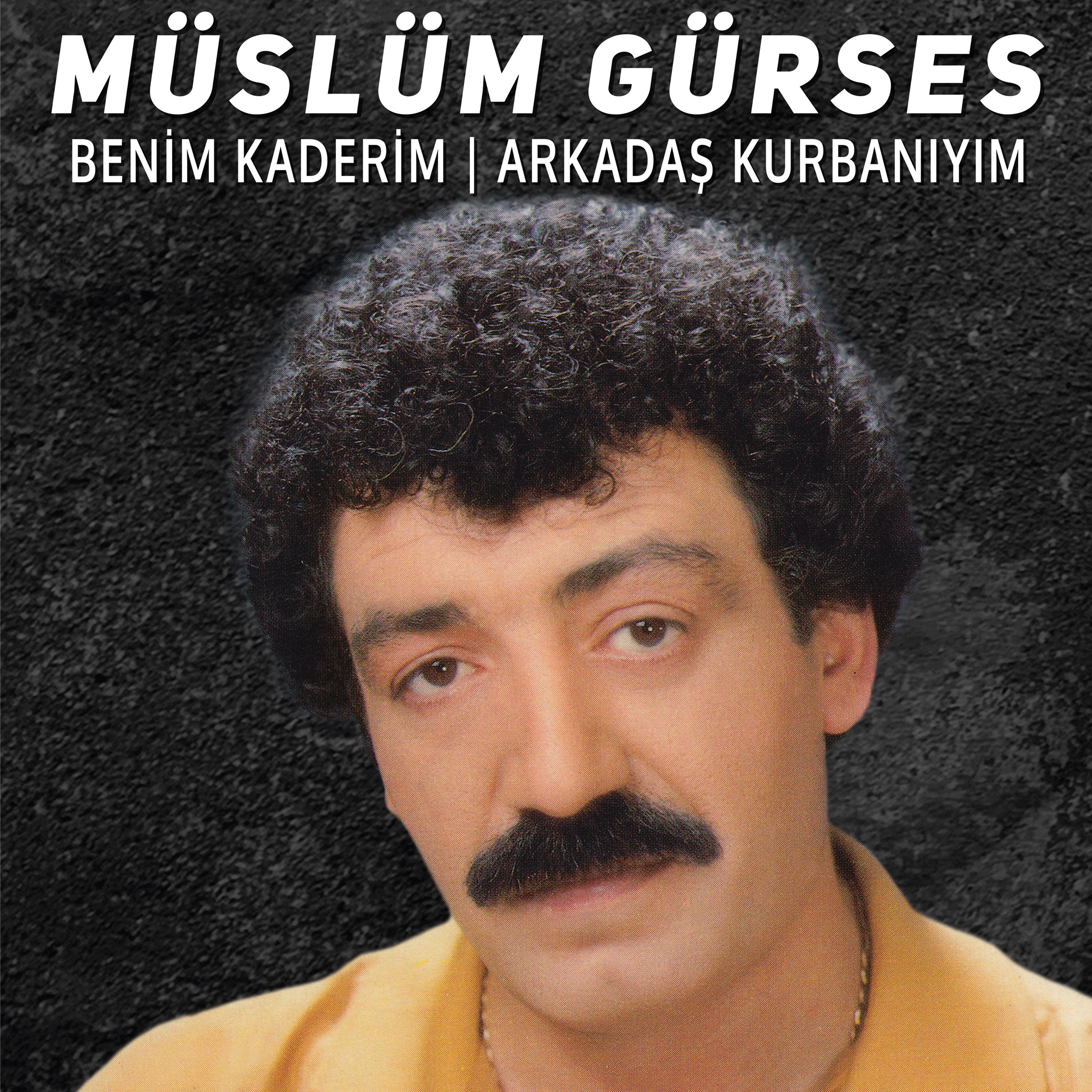 Постер альбома Benim Kaderim - Arkadaş Kurbanıyım