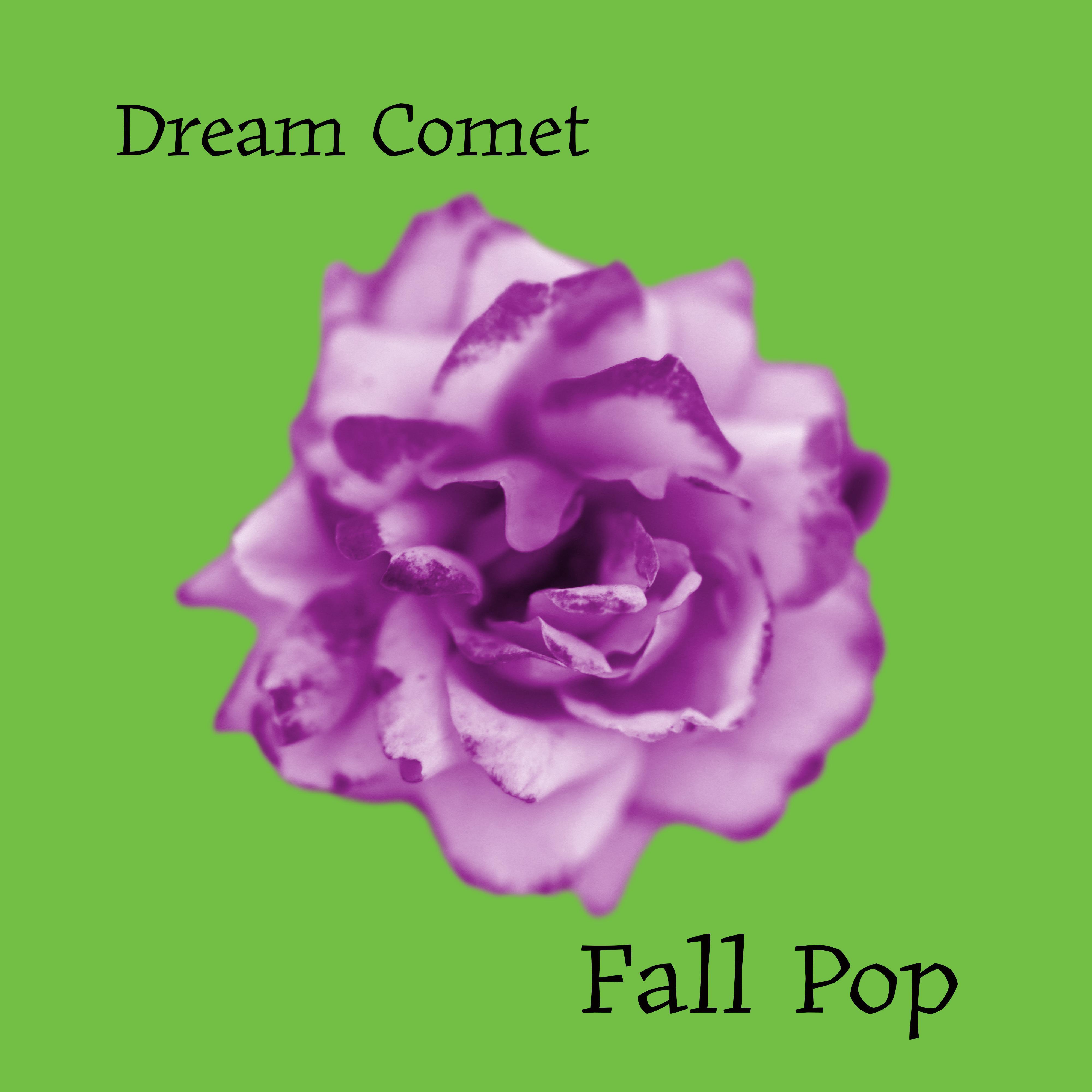 Постер альбома Fall Pop