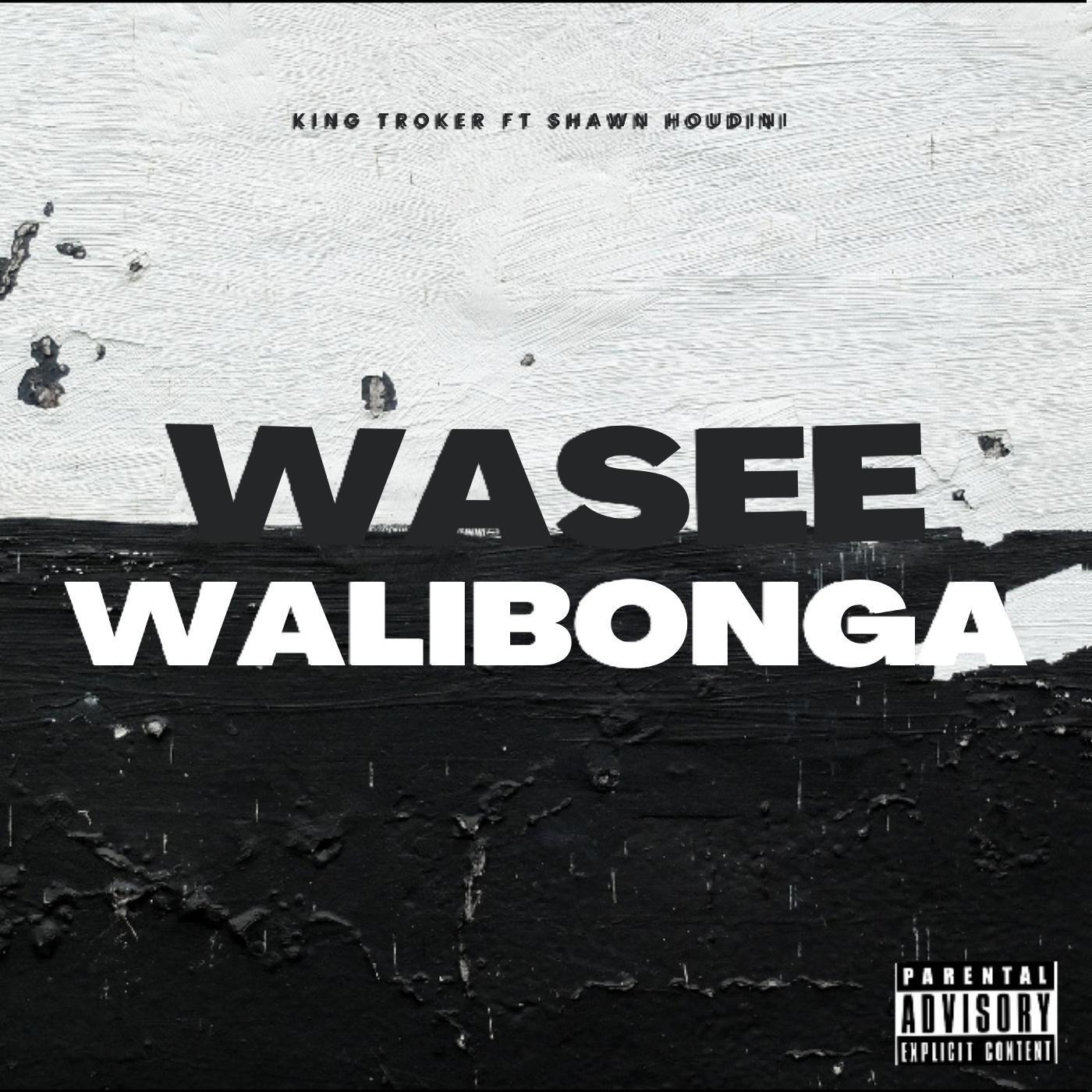 Постер альбома Wasee walibonga (feat. Shawn houdini)