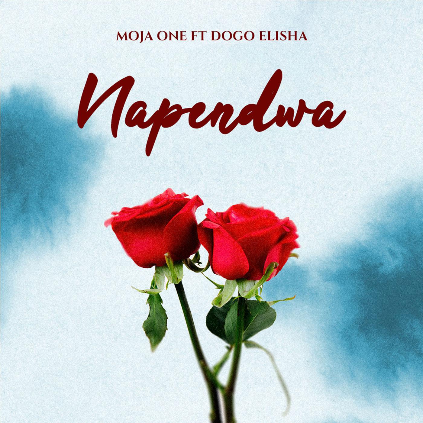 Постер альбома Napendwa (feat. Dogo Elisha)