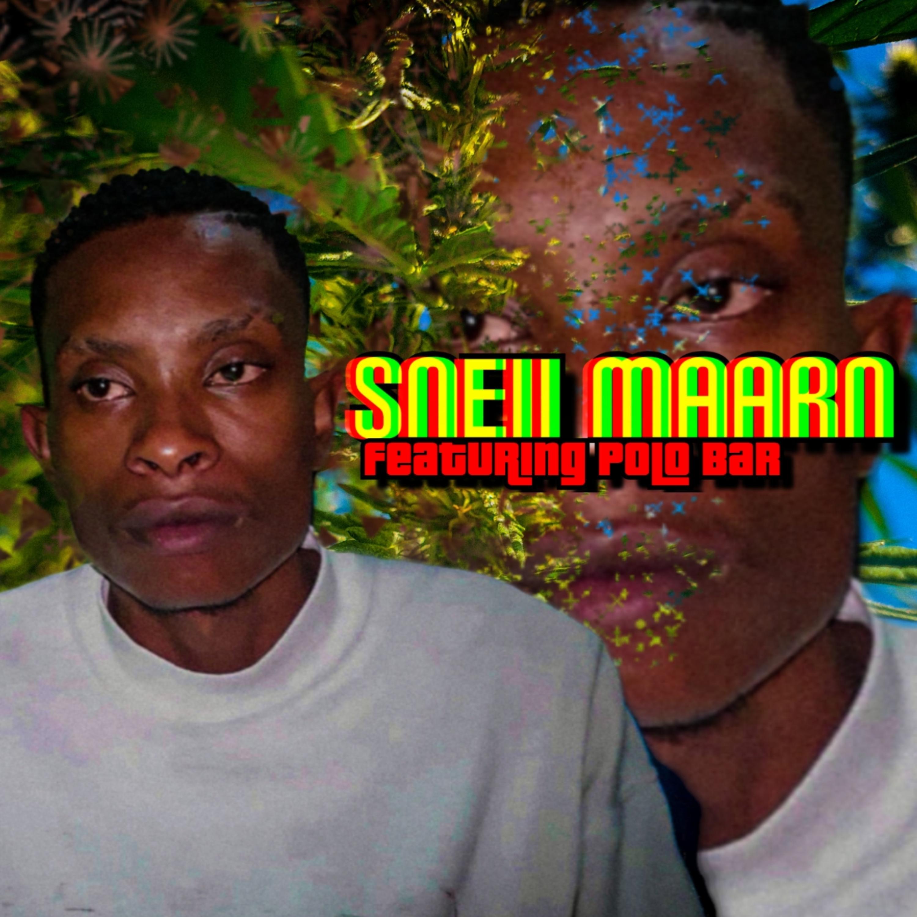 Постер альбома Sneii Maarn (feat. PoloBar)