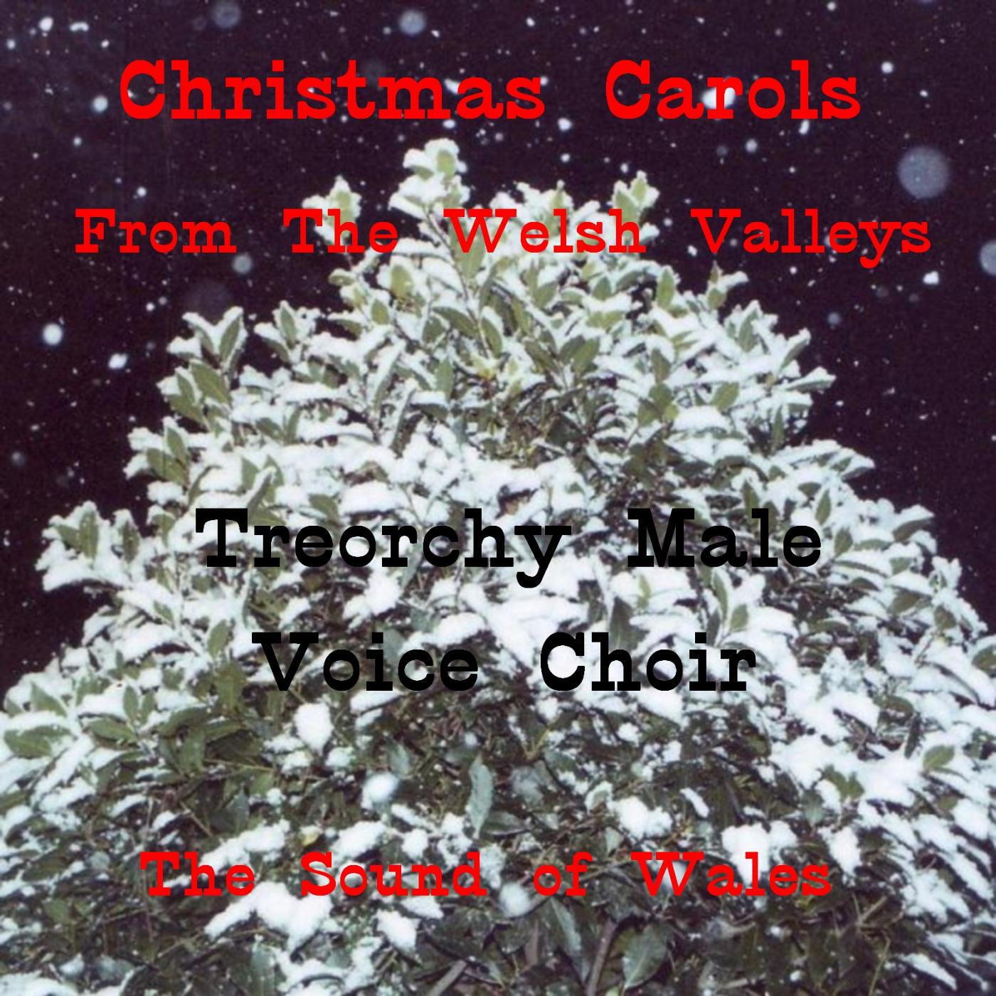 Treorchy Male Voice Choir - Wyddgrug