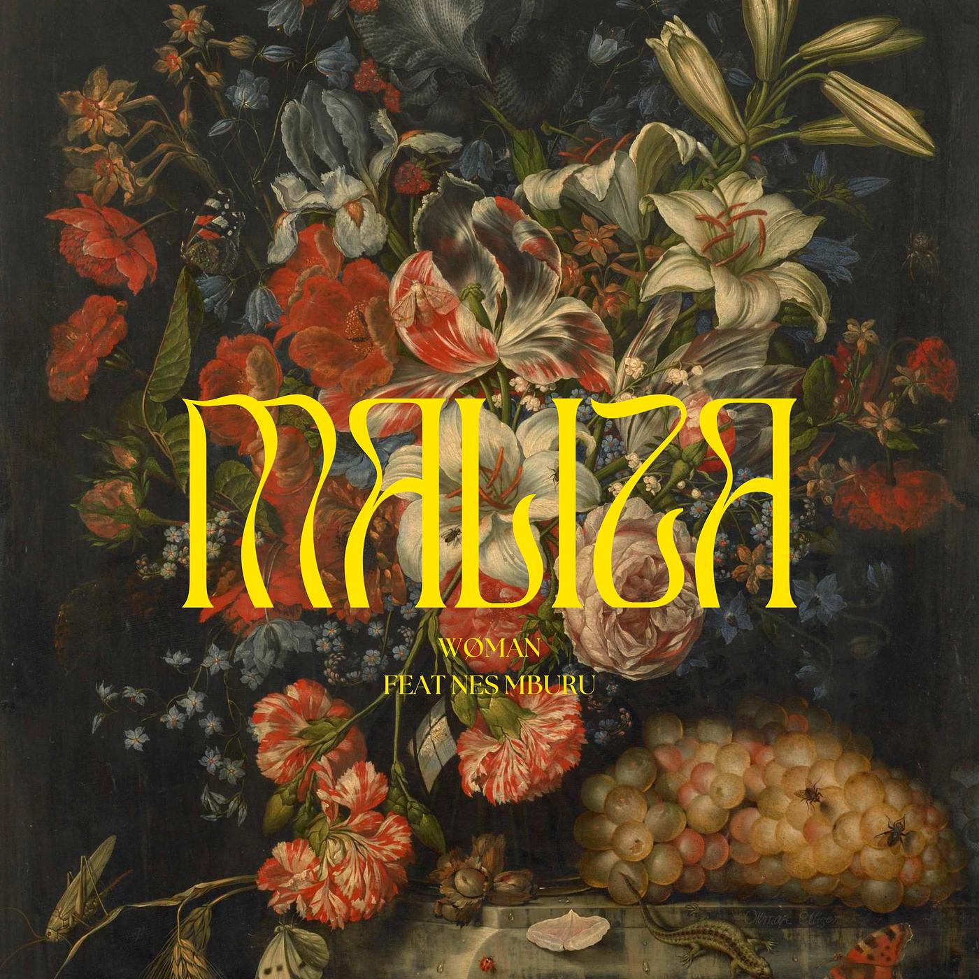 Постер альбома Maliza