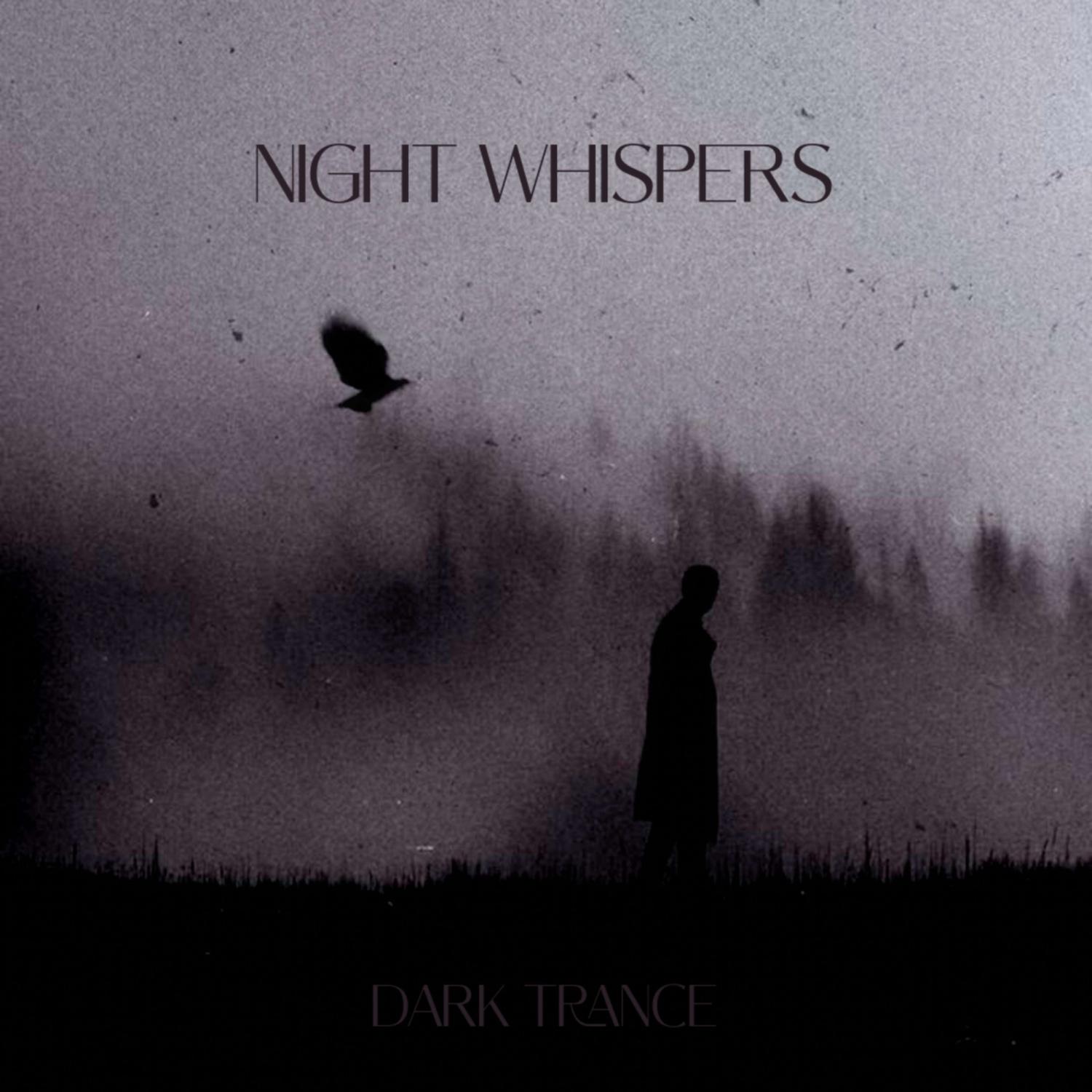 Постер альбома Dark trance