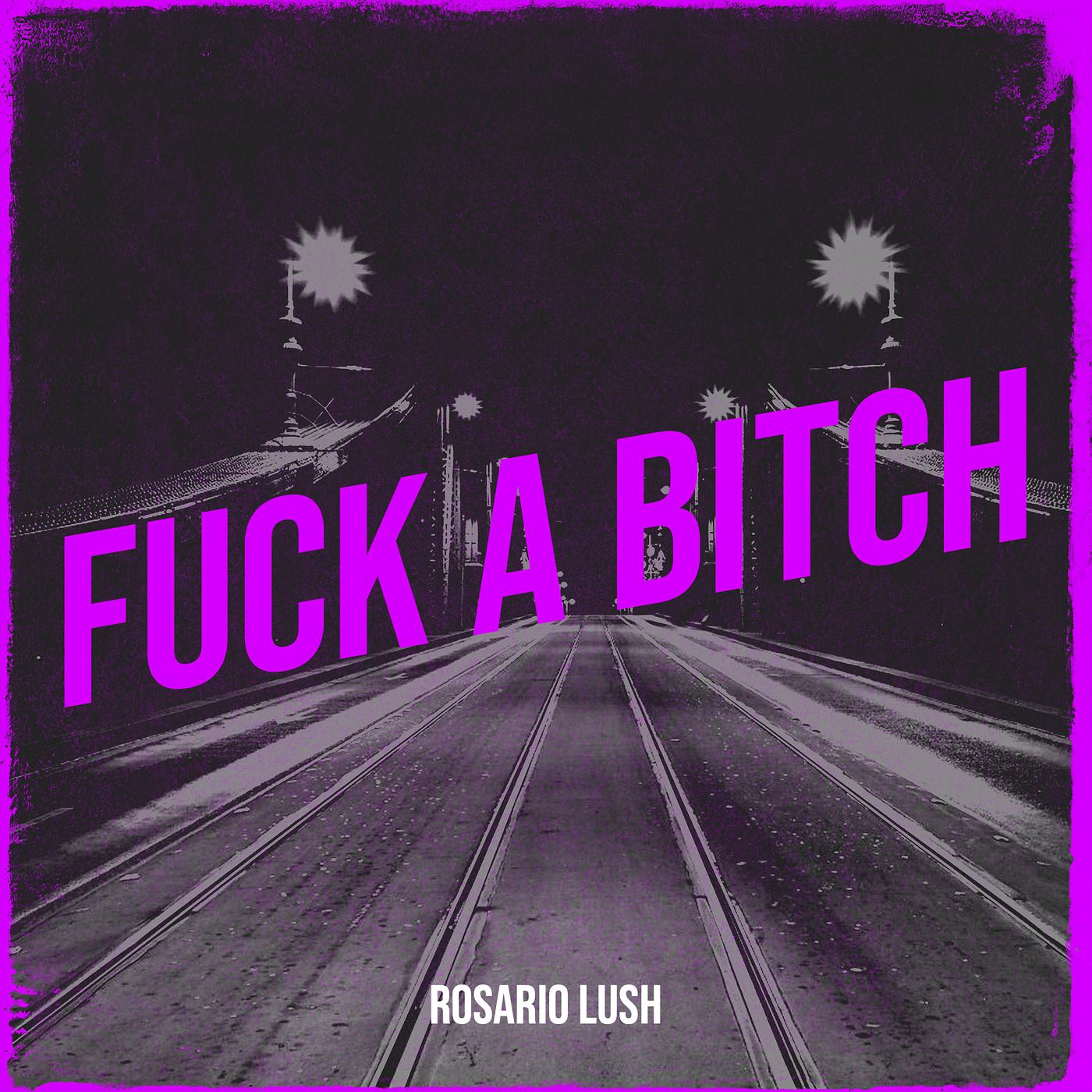 Постер альбома Fuck a Bitch