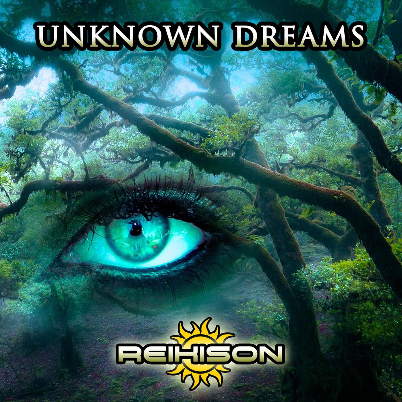 Постер альбома Unknow Dreams