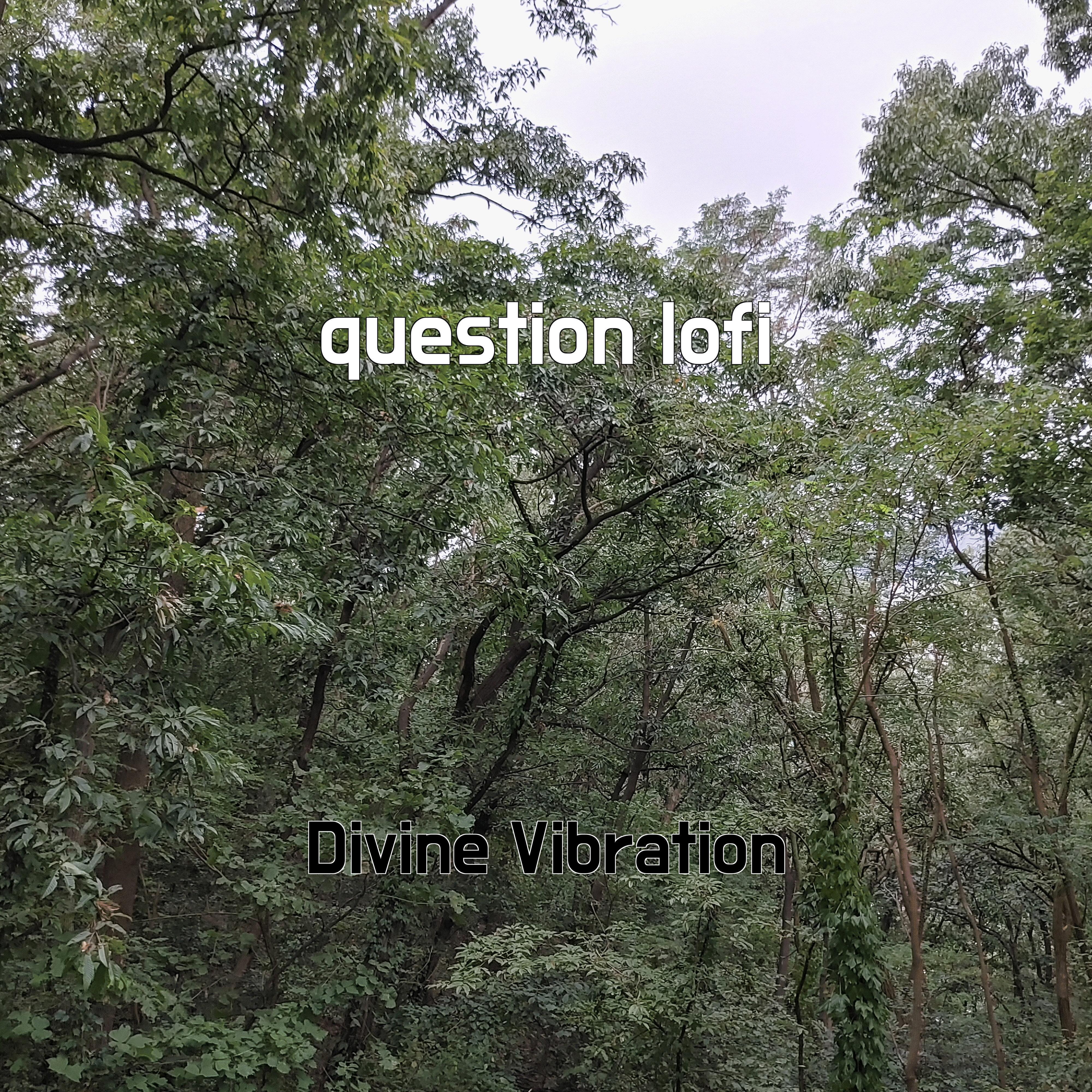 Постер альбома question lofi