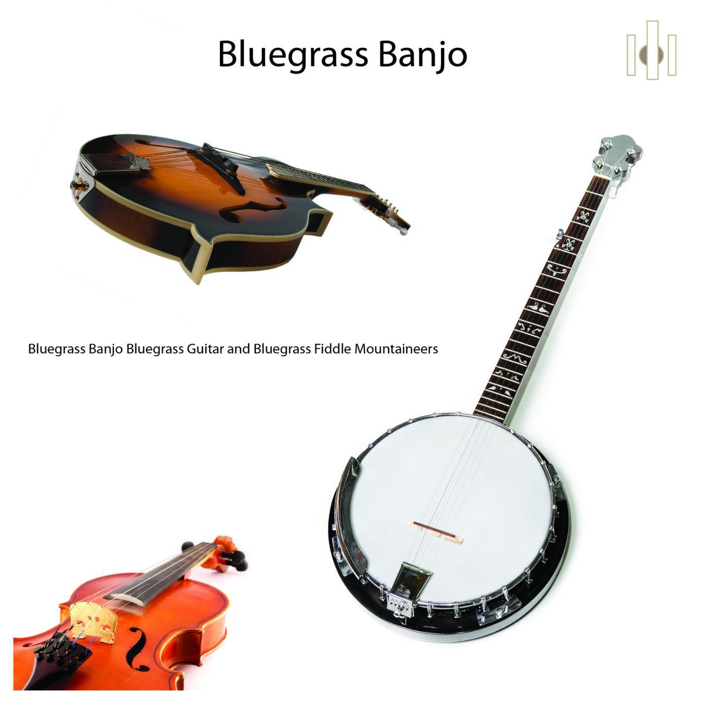 Постер альбома Bluegrass Banjo