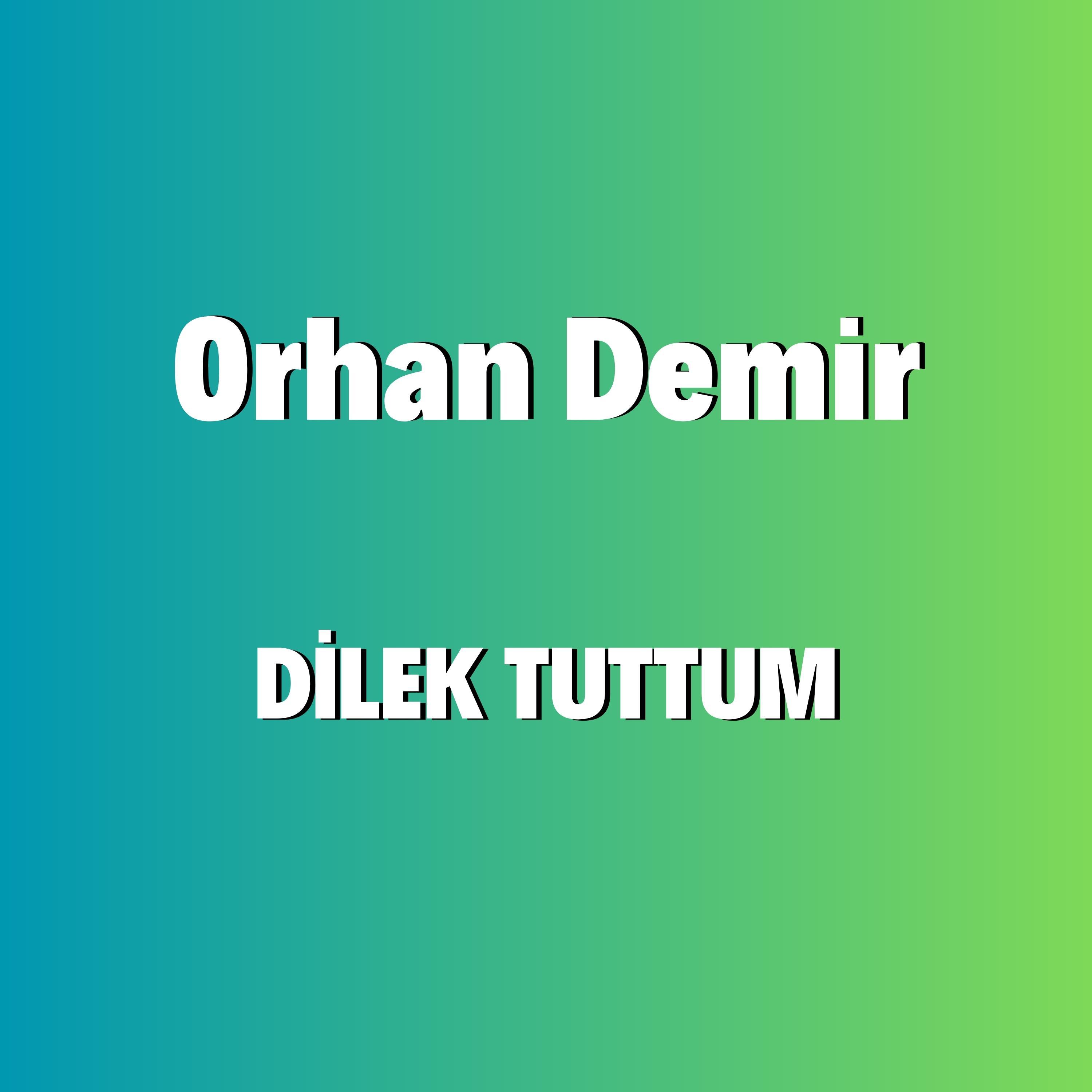 Постер альбома Dilek Tuttum
