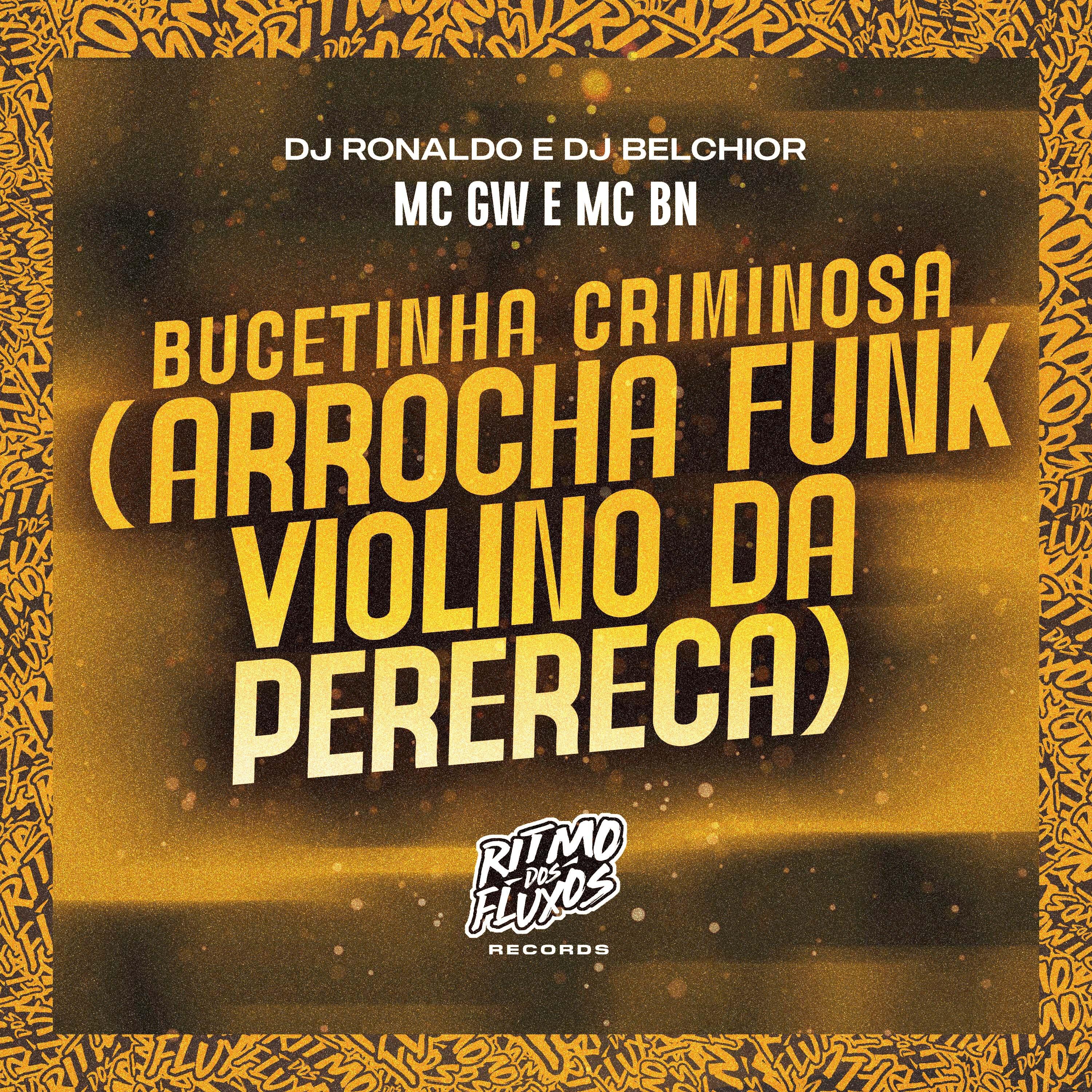 Постер альбома Bucetinha Criminosa (Arrocha Funk Violino da Perereca)