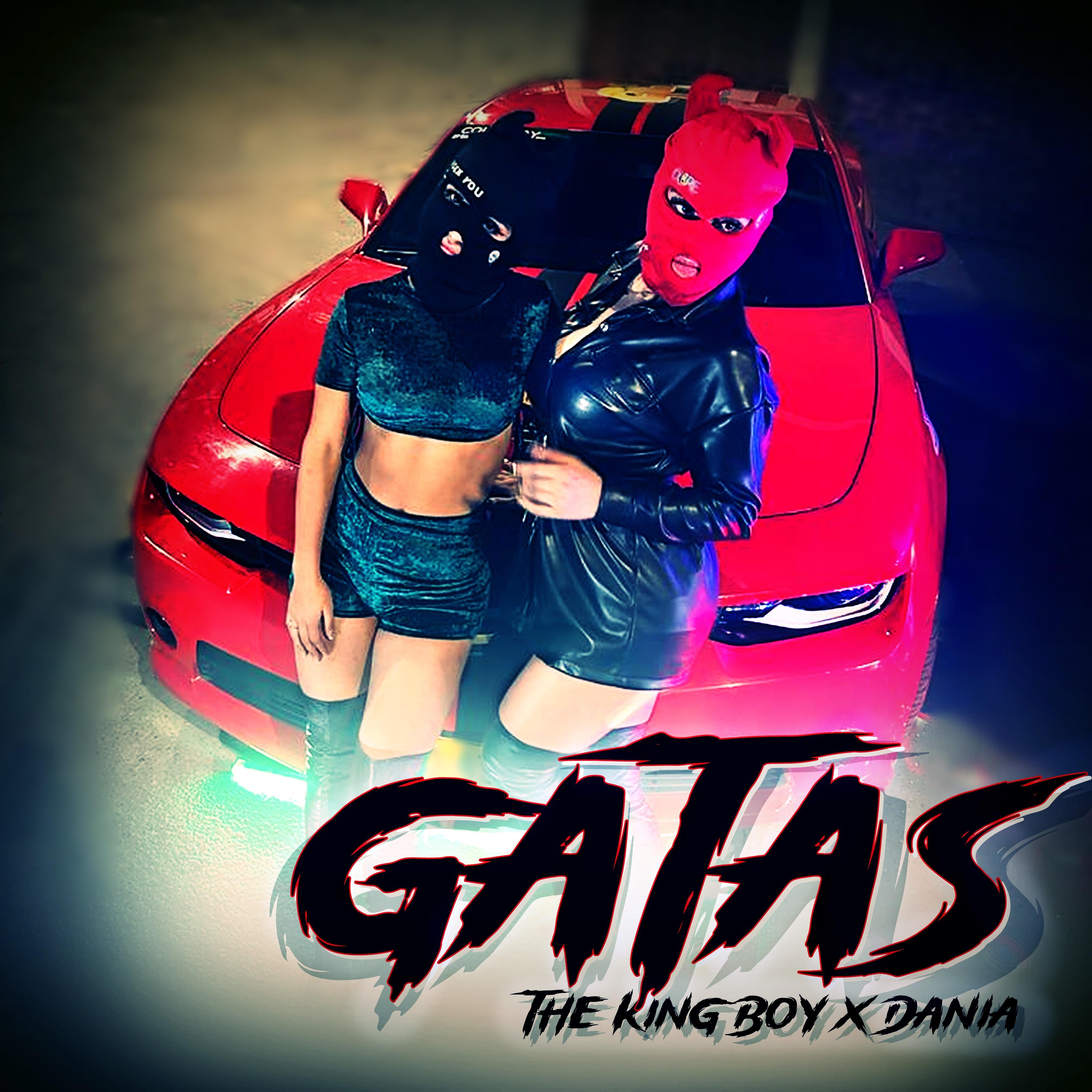 Постер альбома Gatas