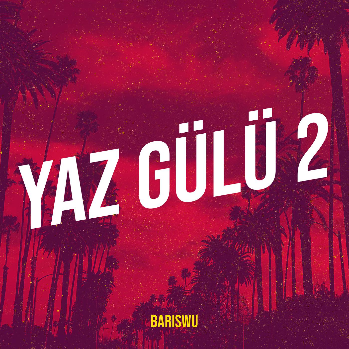 Постер альбома Yaz Gülü 2