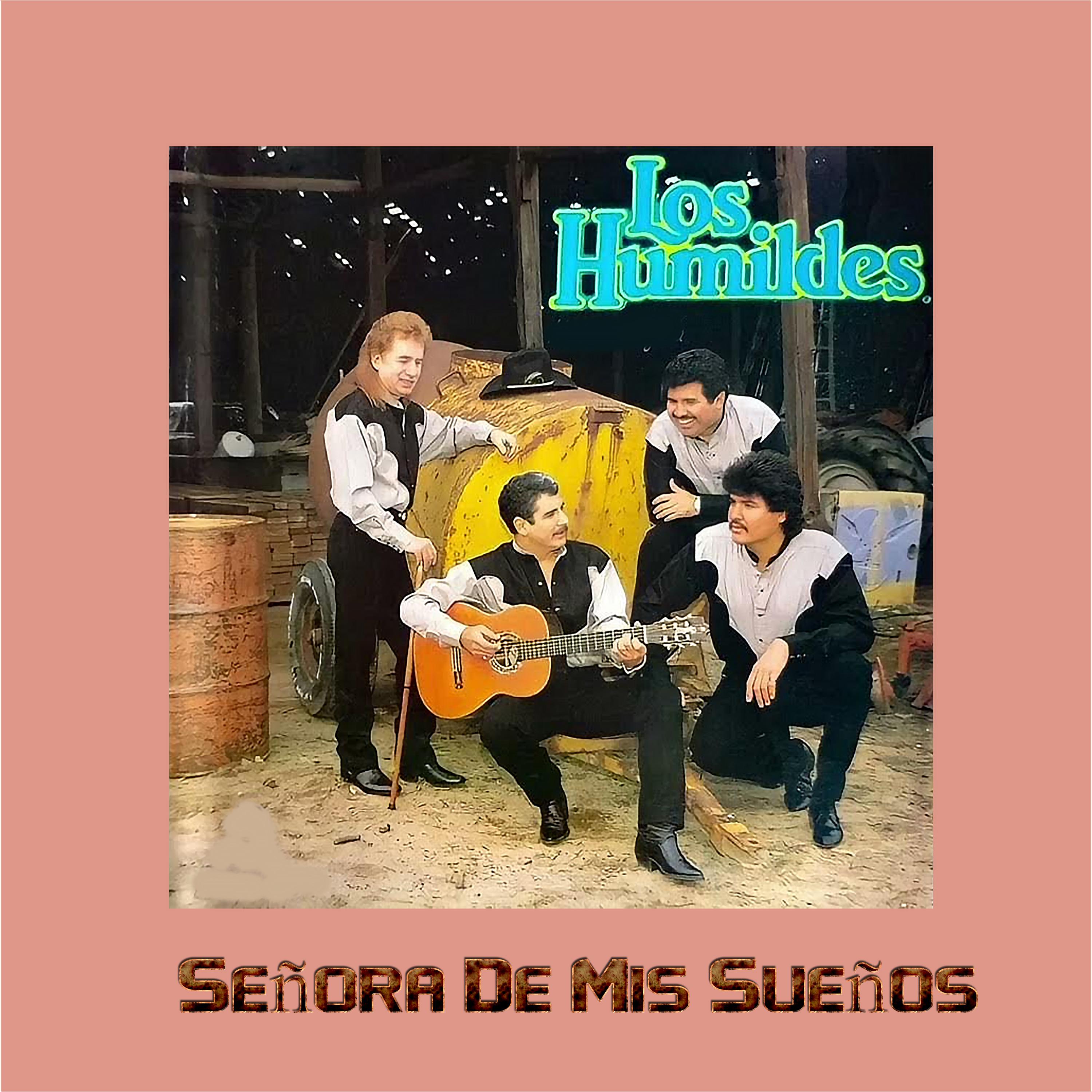 Постер альбома Señora de Mis Sueños
