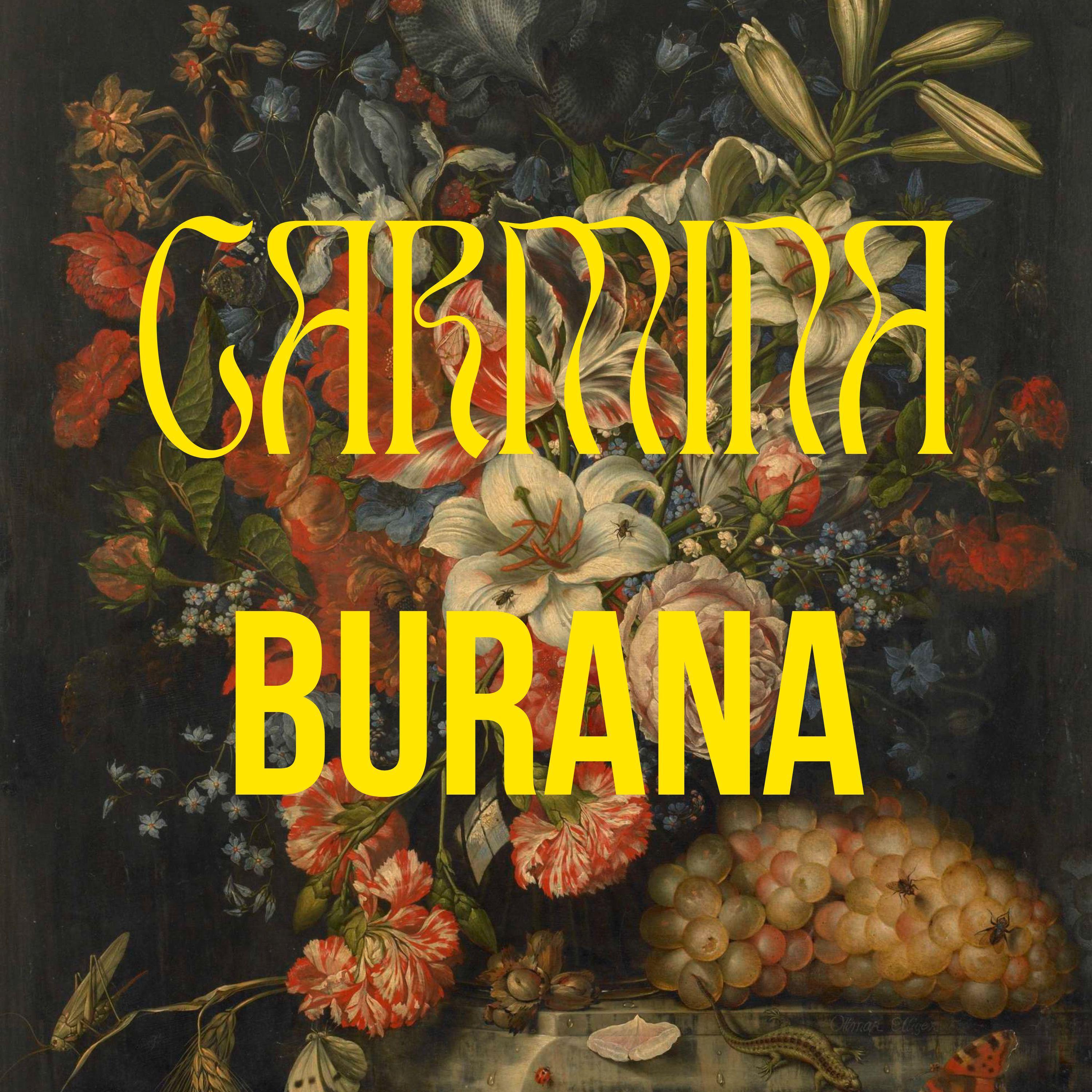 Постер альбома Carmina Burana, Vol. 5