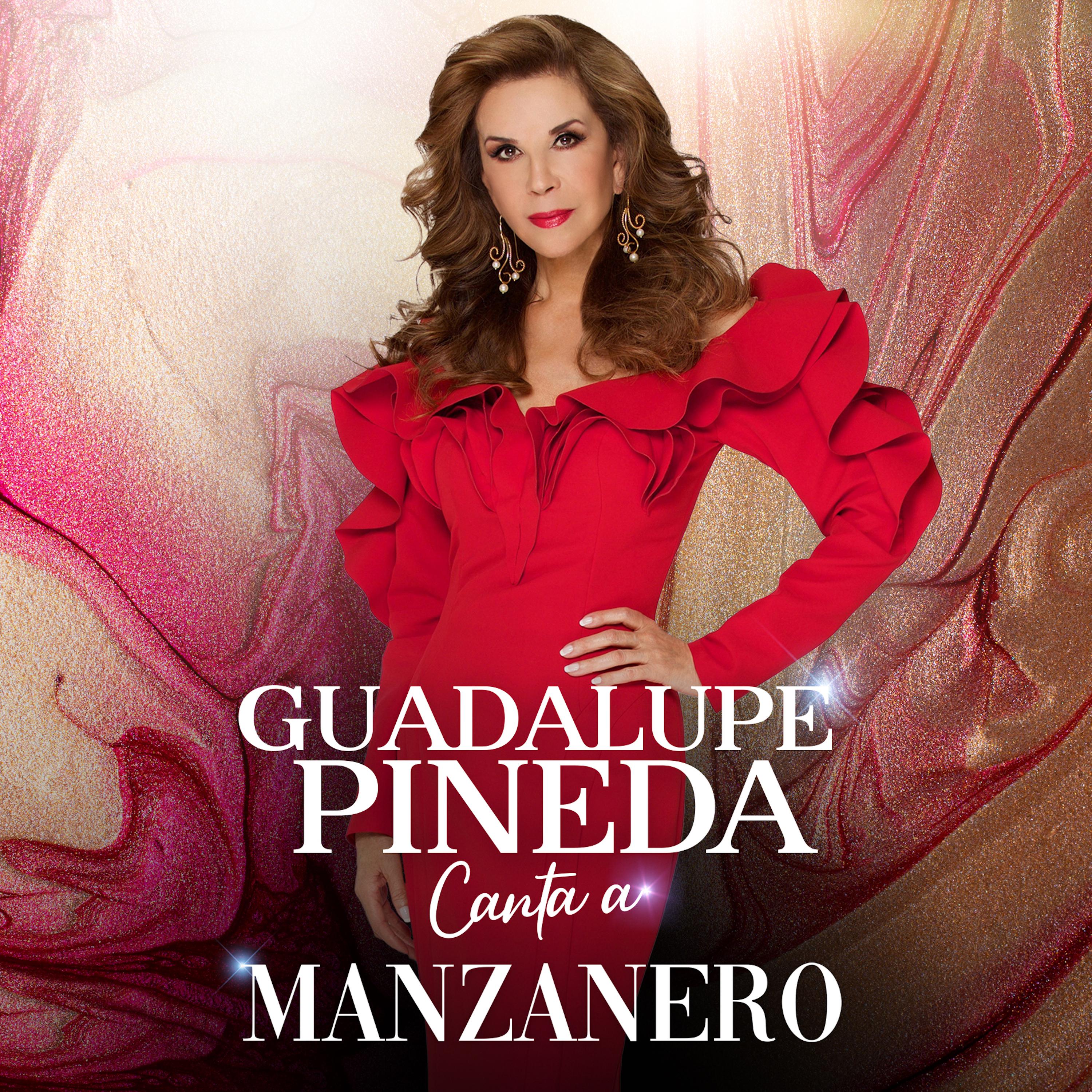 Постер альбома Guadalupe Canta a Manzanero