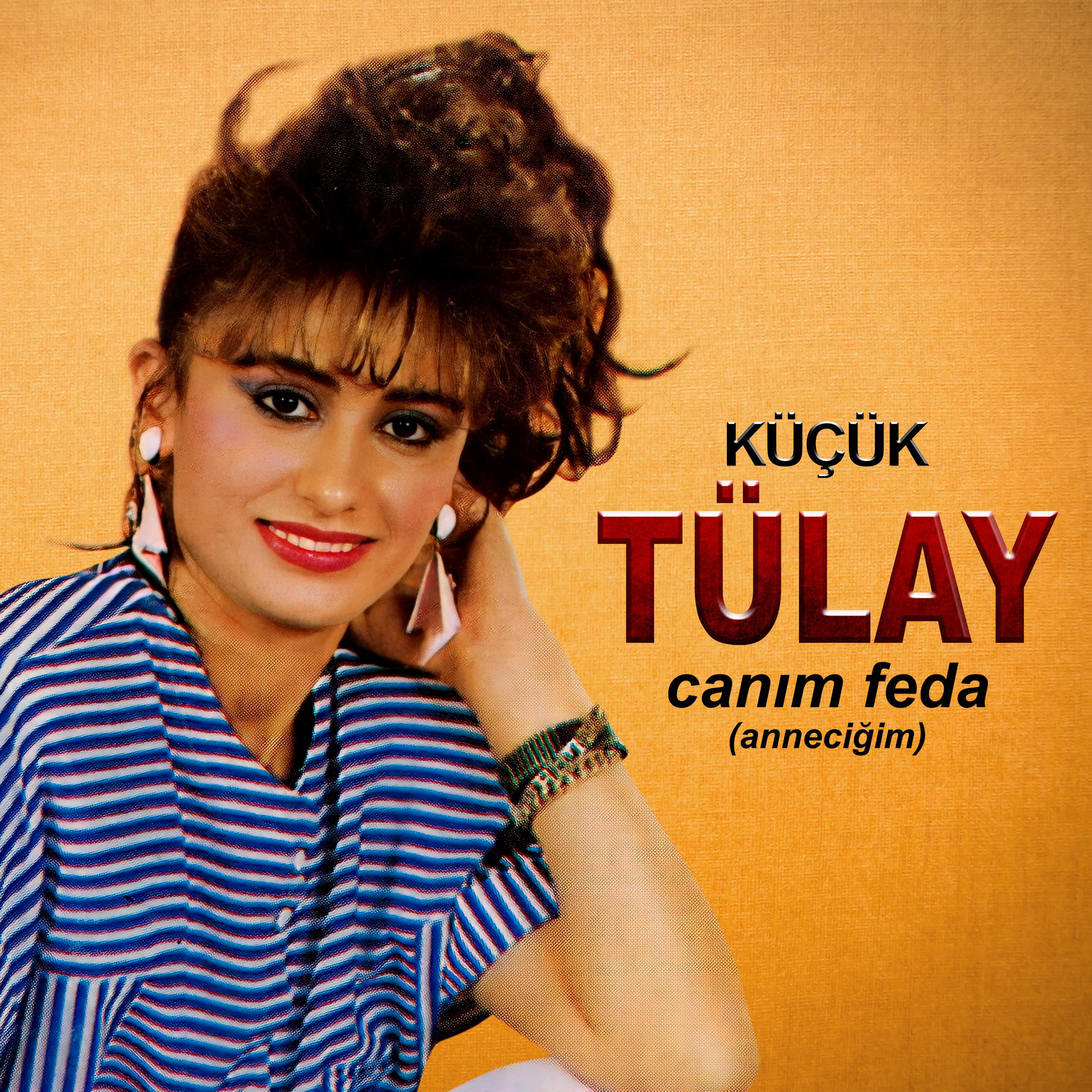 Постер альбома Canım Feda