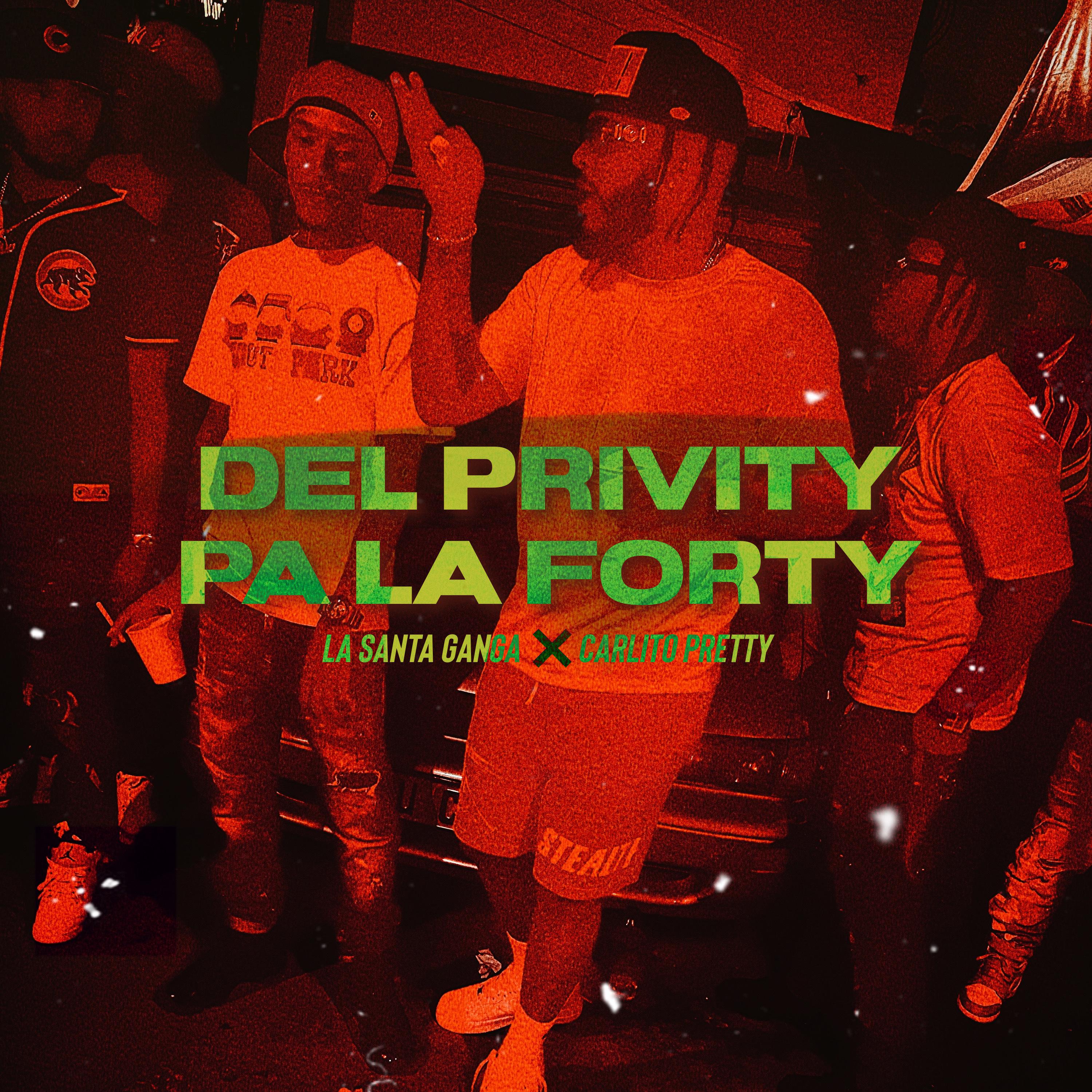 Постер альбома Del Privity Pa la Forty