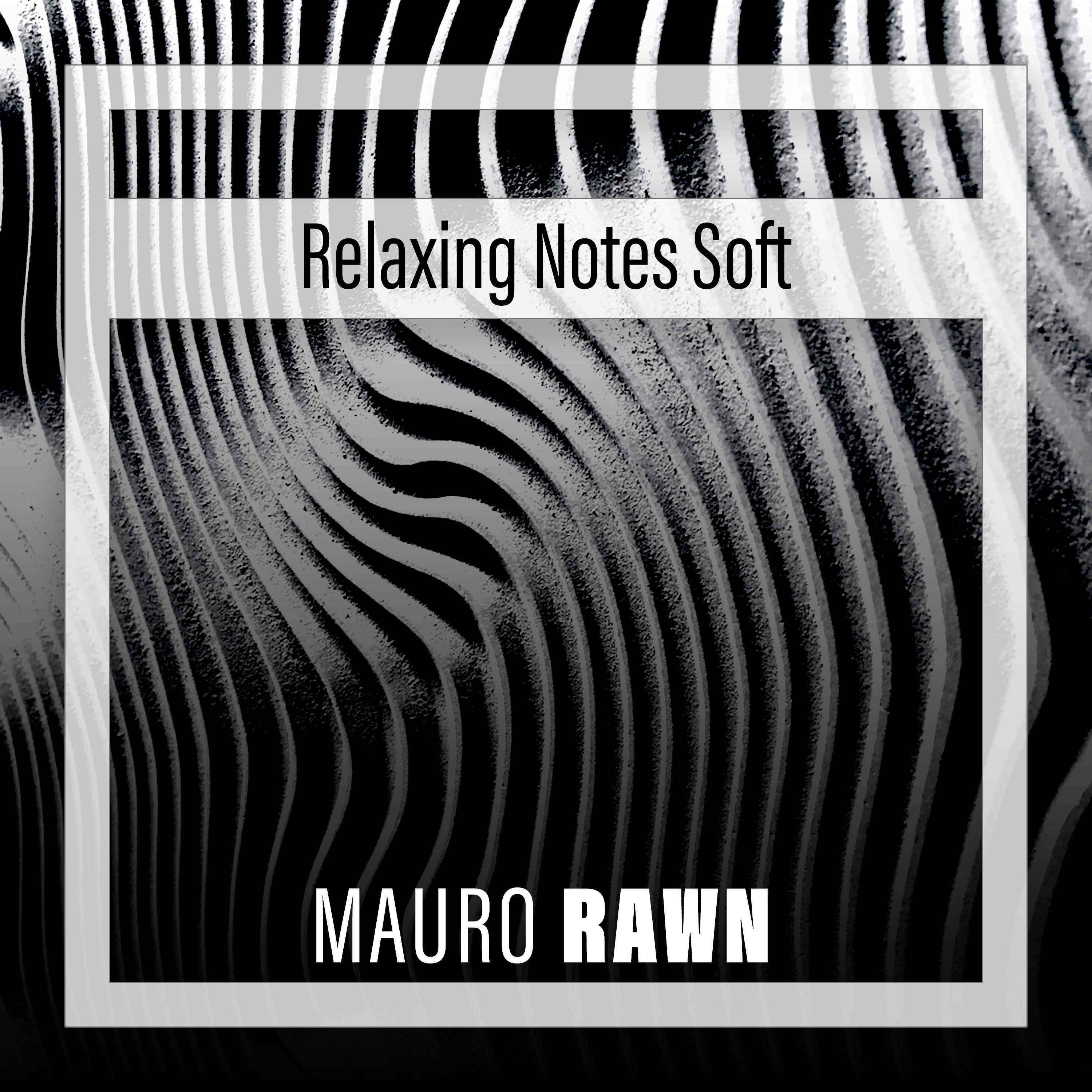 Постер альбома Relaxing Notes Soft